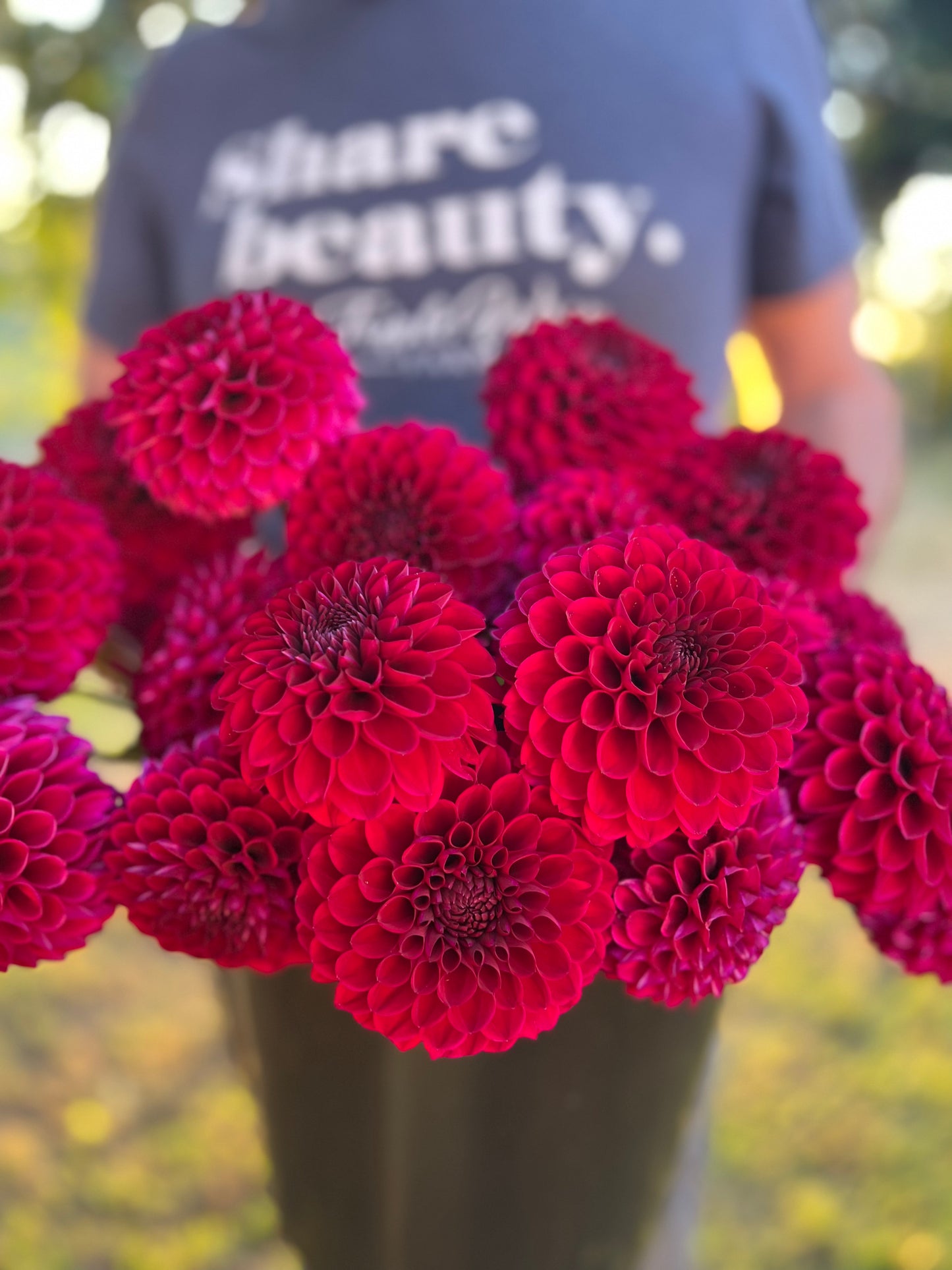 buy Jessie G Dahlia Tuber from Triple Wren Farms for your home garden