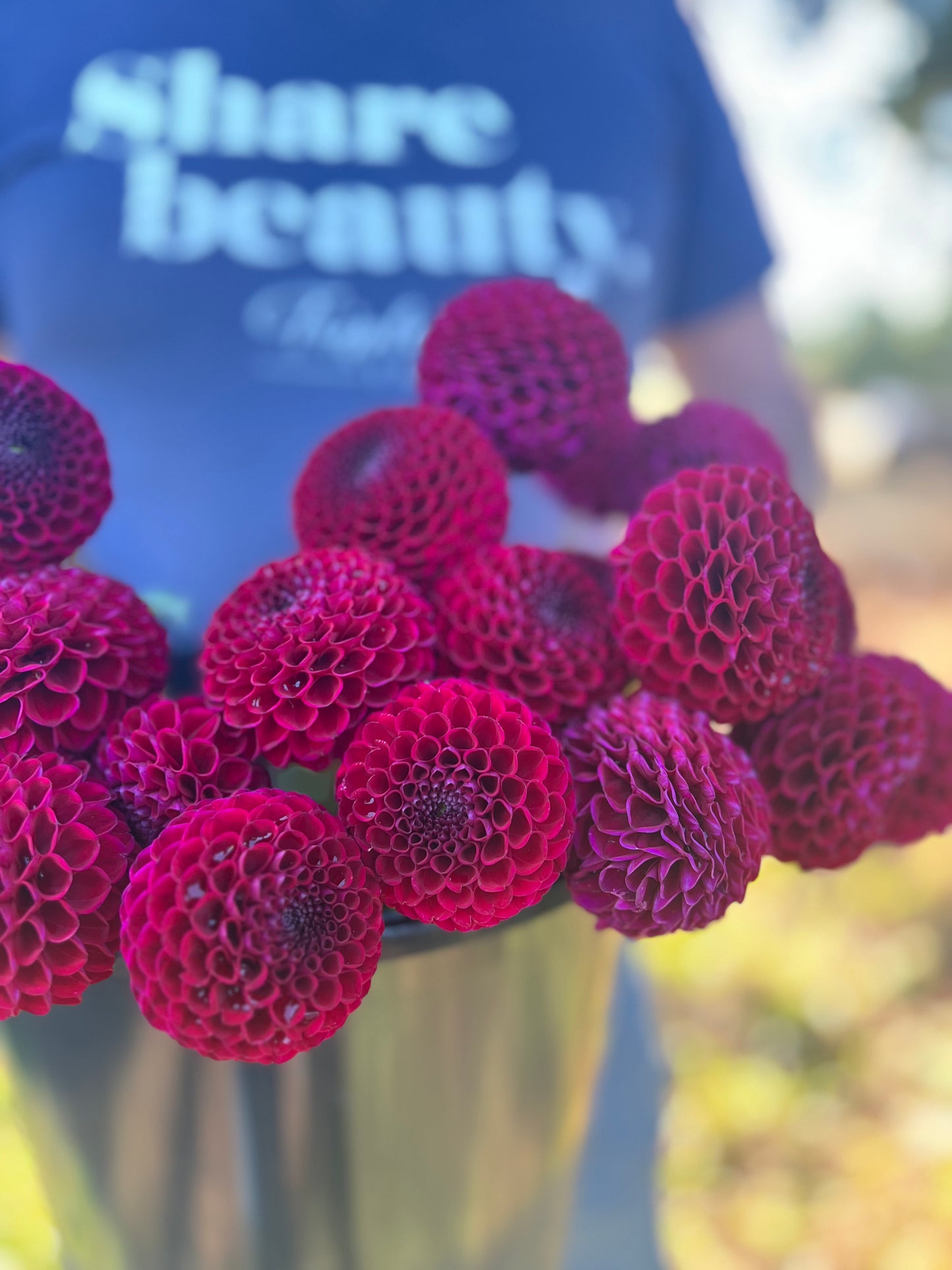 buy Bloomquist Award dahlia tubers from Triple Wren Farms for your home garden