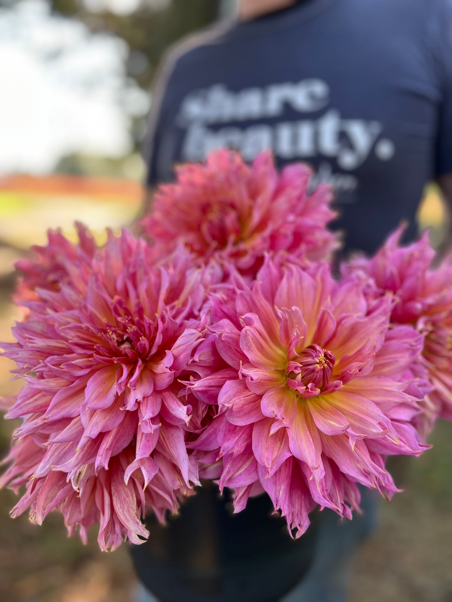 buy Omega Dahlia Tubers from Triple Wren Farms