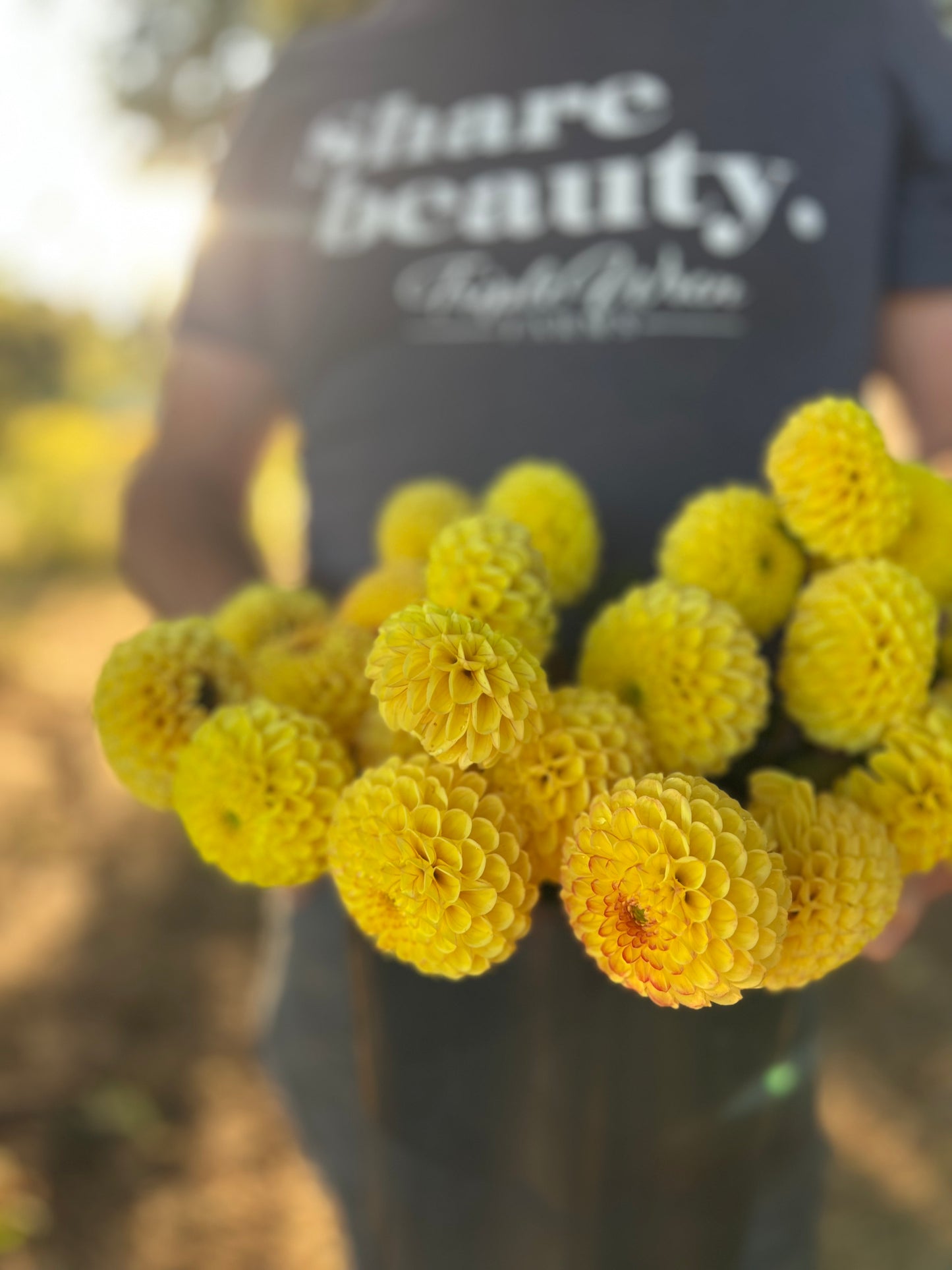 buy Bloomquist Peaceful dahlia tubers from Triple Wren Farms for your home Garden