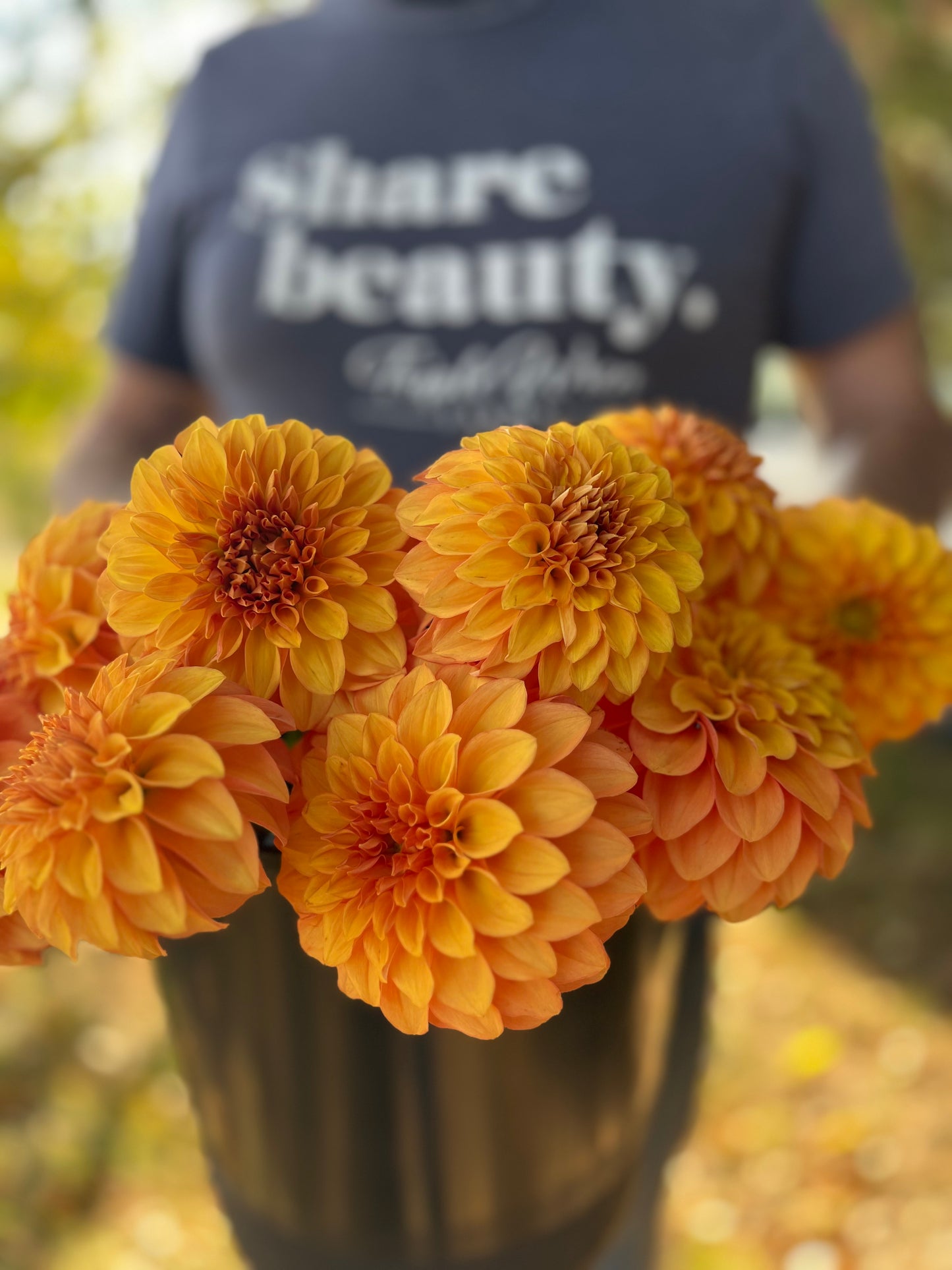 Buy Bloomquist Mandrake dahlia tubers from Triple Wren Farms for your home garden