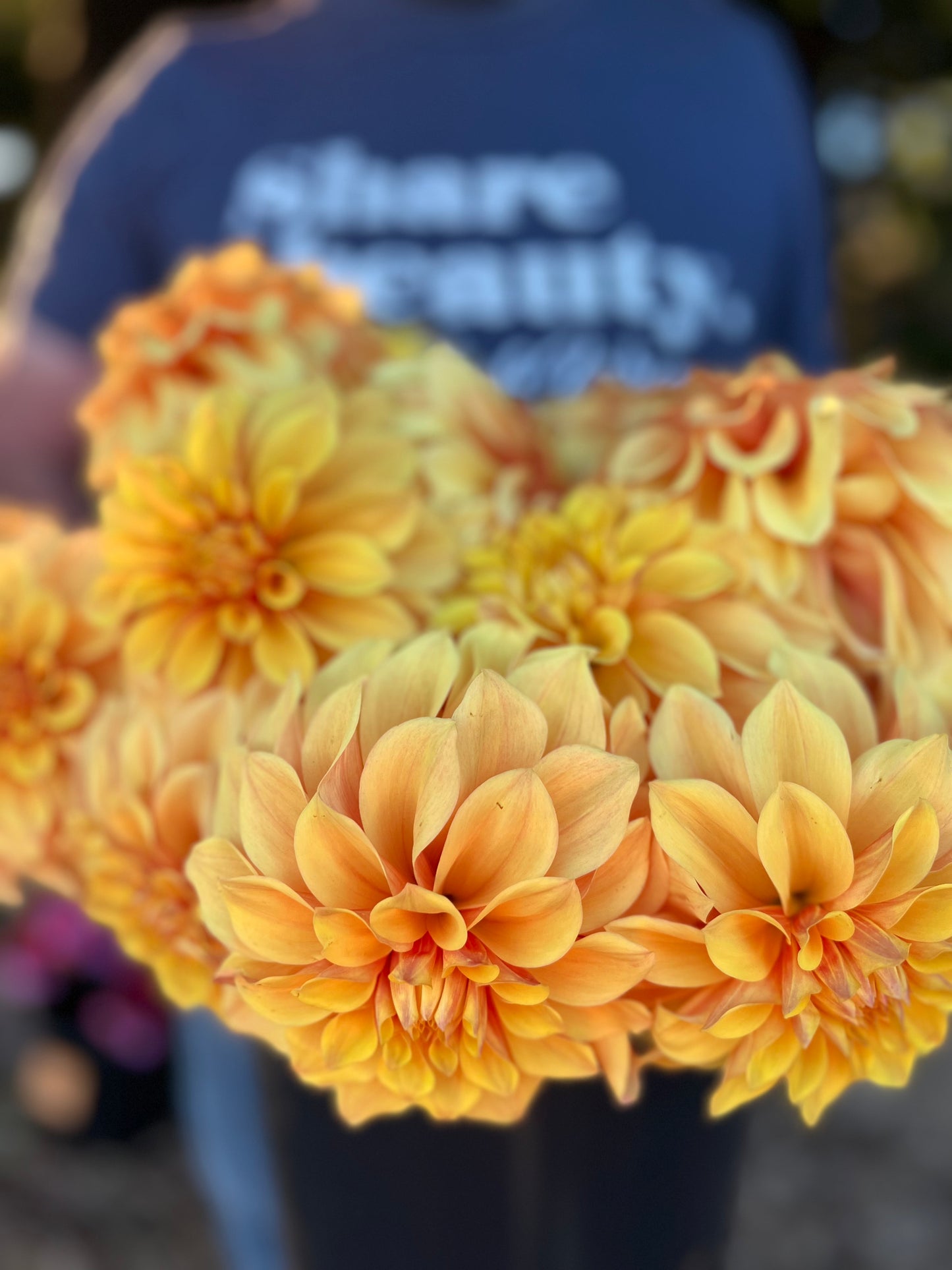 buy Bloomquist Endure dahlia tubers from Triple Wren Farms for your home garden