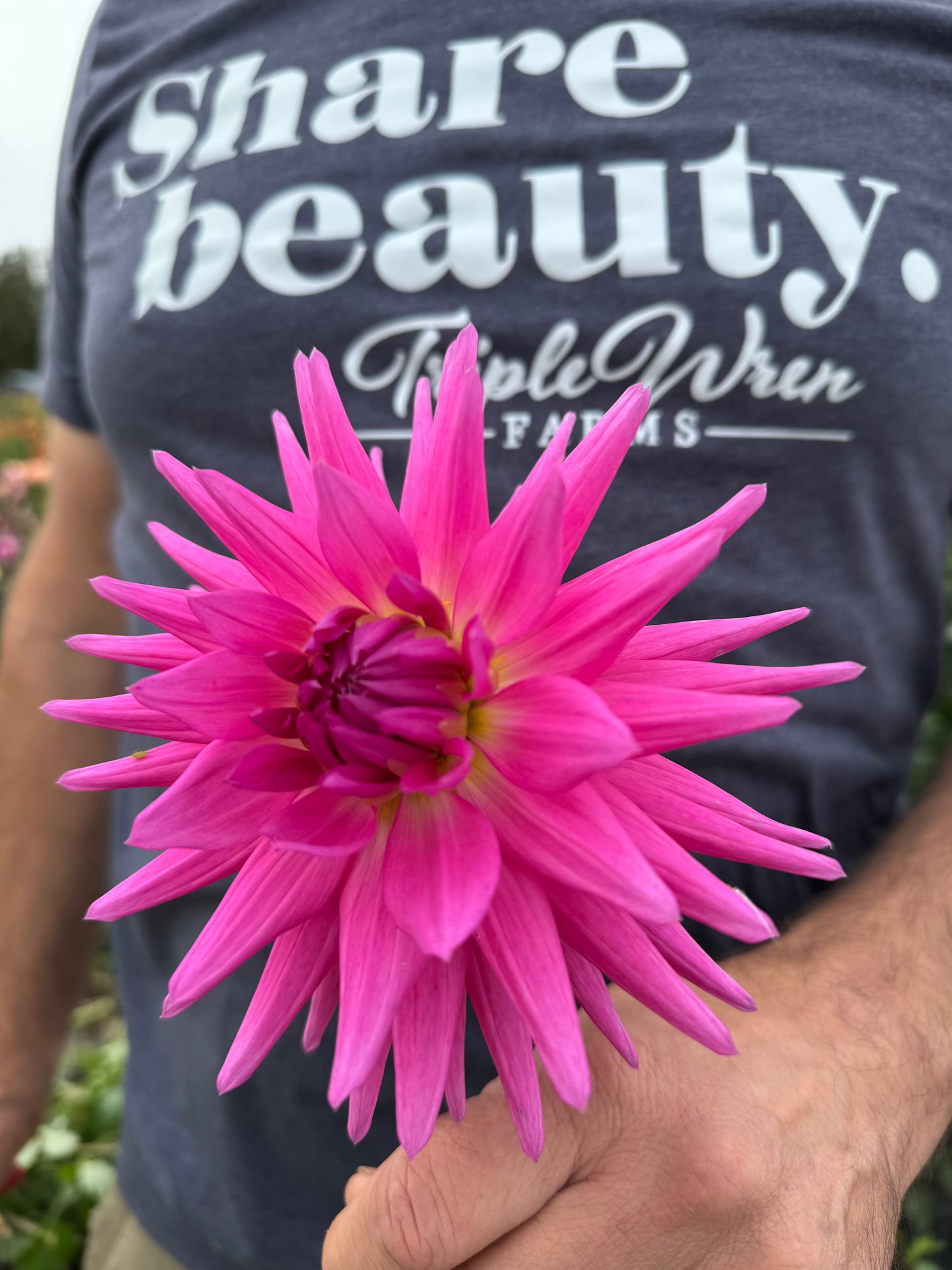 Bloomquist Laura Dahlia Tuber