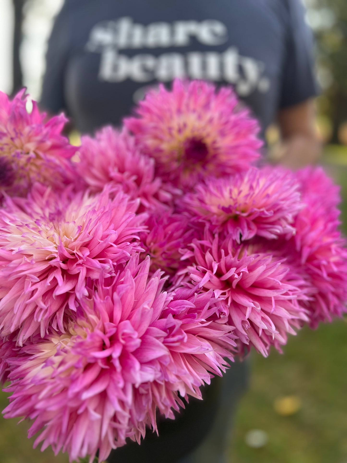 buy Bloomquist Malloree dahlia tubers from Triple Wren Farms for your home garden