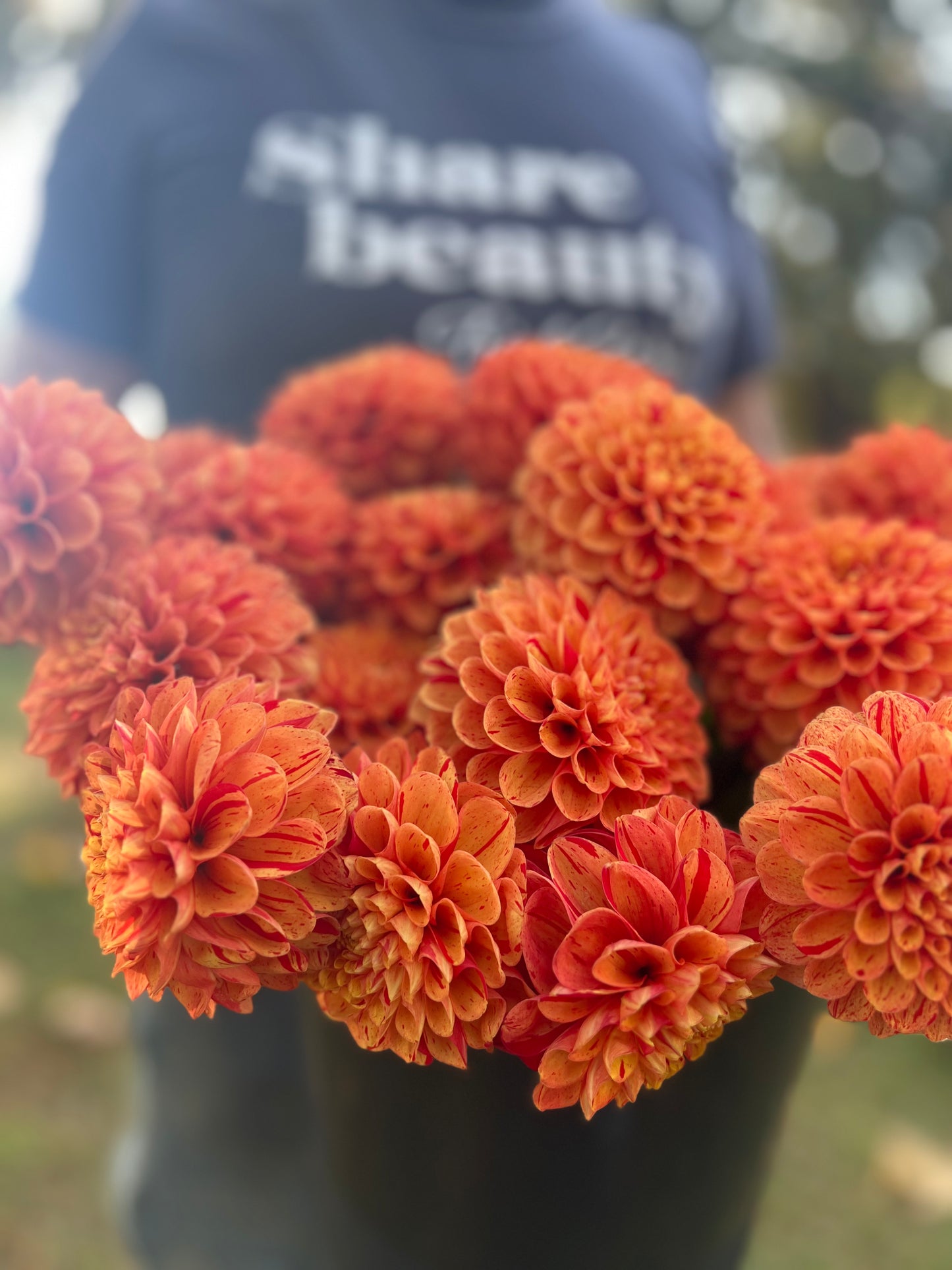buy AC Firefly dahlia tubers from Triple Wren Farms for your home garden