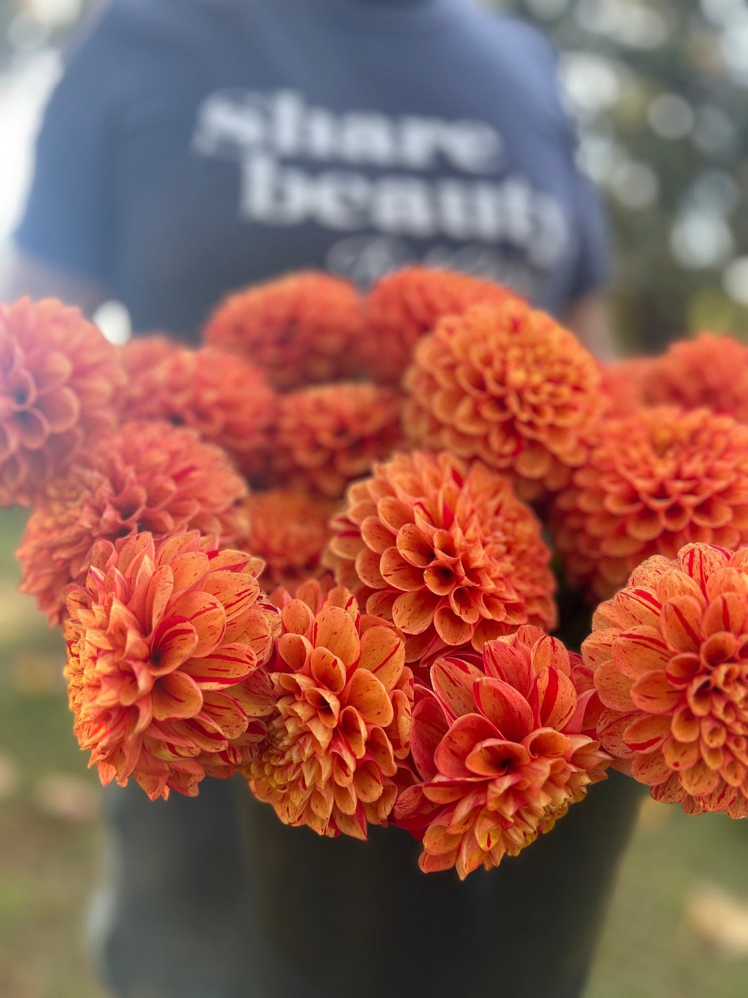 buy AC Firefly dahlia tubers from Triple Wren Farms for your home garden