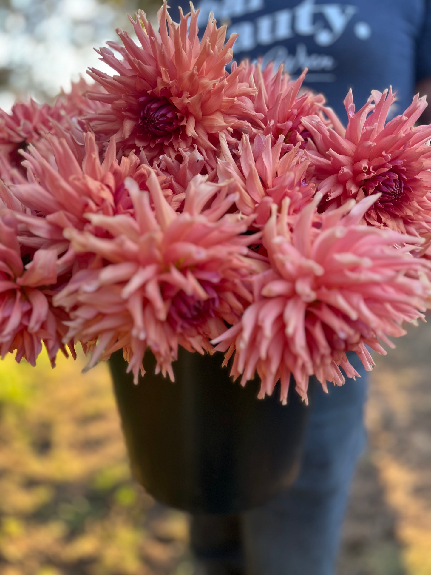 Terracotta Dahlia Tuber