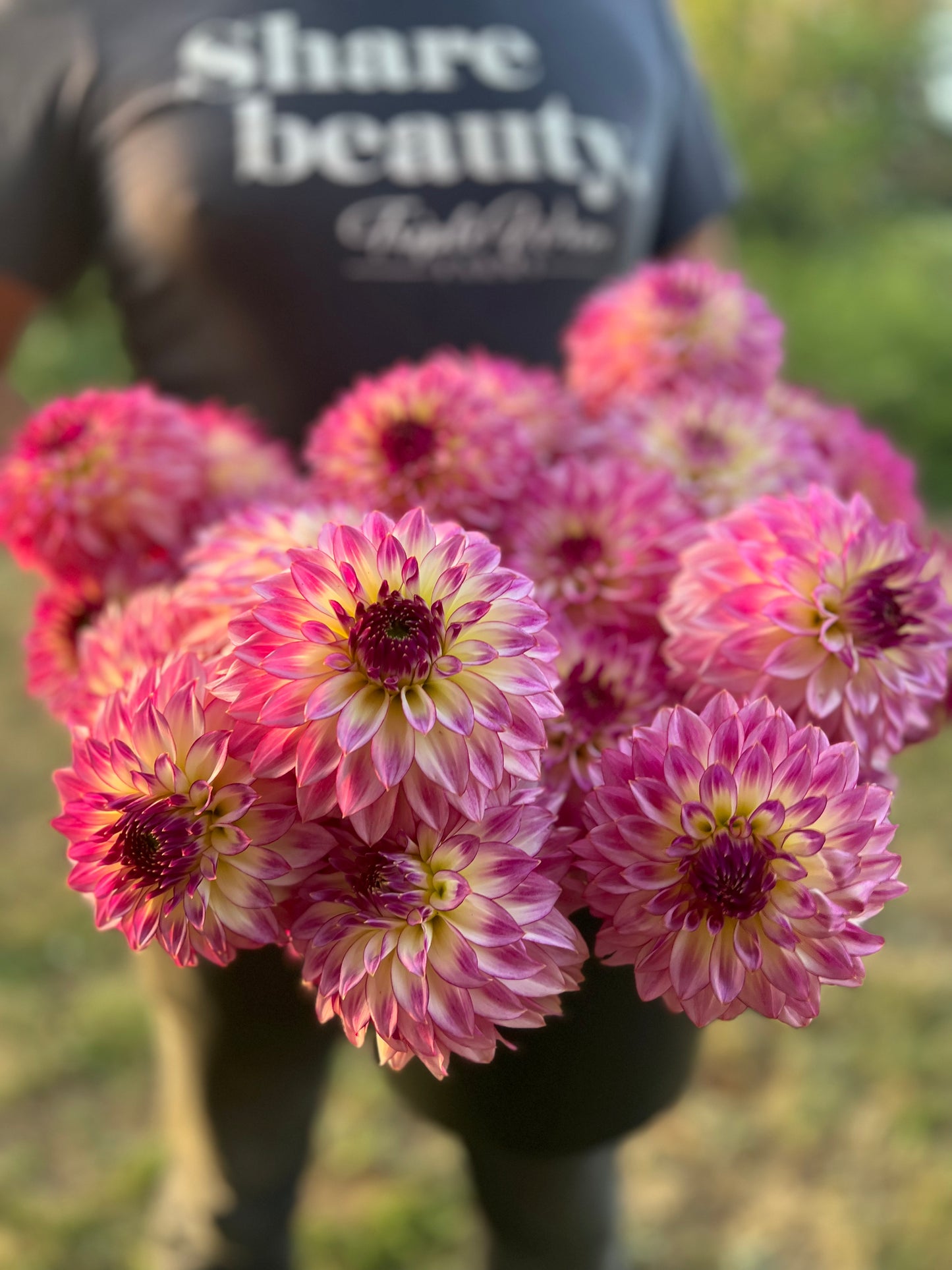 buy Bloomquist Jody Lynn dahlia tubers from Triple Wren Farms for your home garden