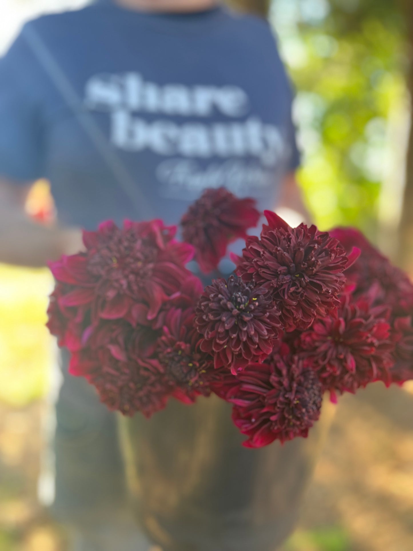 Soulman Dahlia Tuber