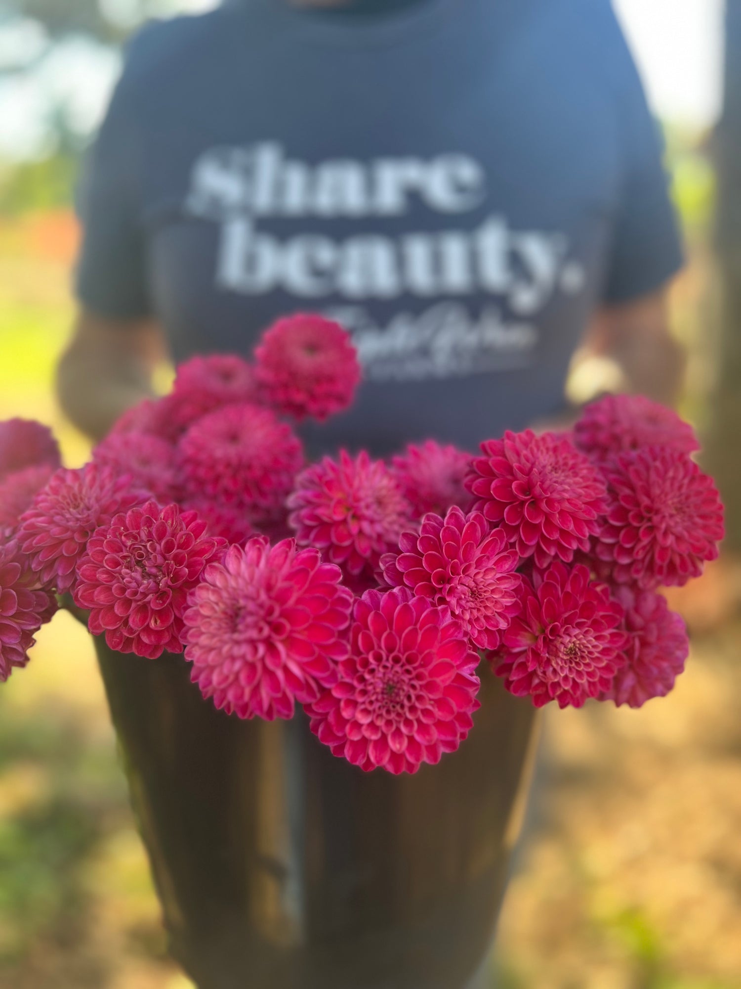 Bloomquist Showtime Dahlia Tubers from Triple Wren Farms