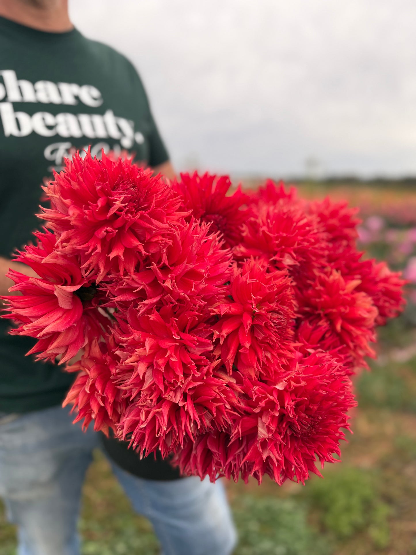 Bloomquist Fearless Dahlia Tuber