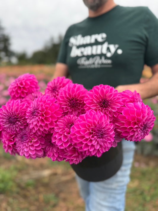 Bloomquist Intrepid Dahlia Tuber