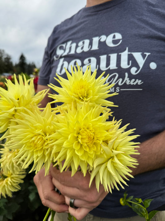 Bloomquist Dignity Dahlia Tubers