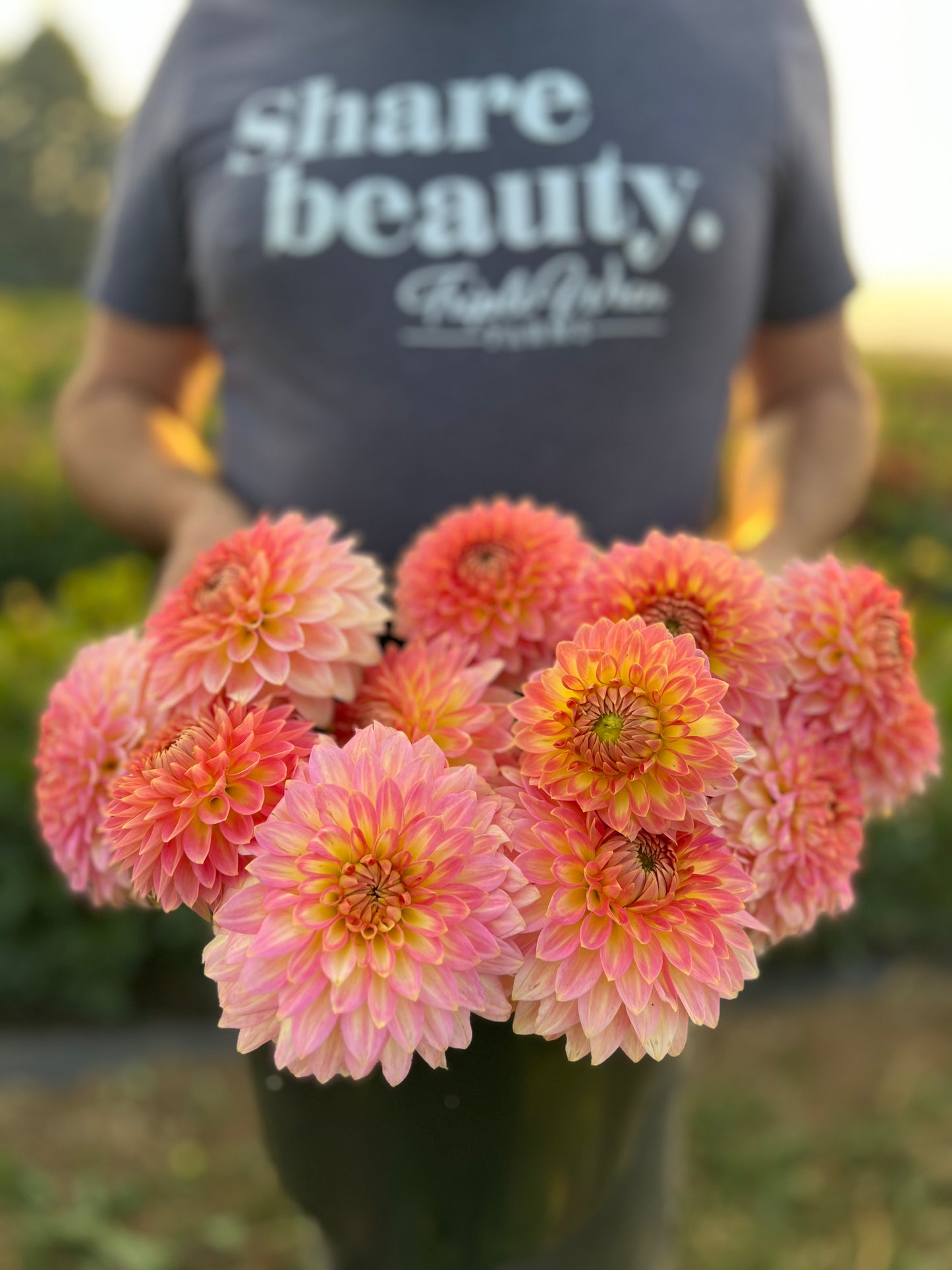 oreti adele dahlia from Triple Wren Farms