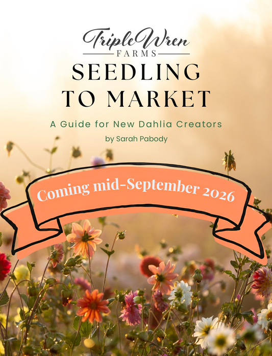 Coming September: Seedling to Market: A Guide for New Dahlia Creators (eBook)