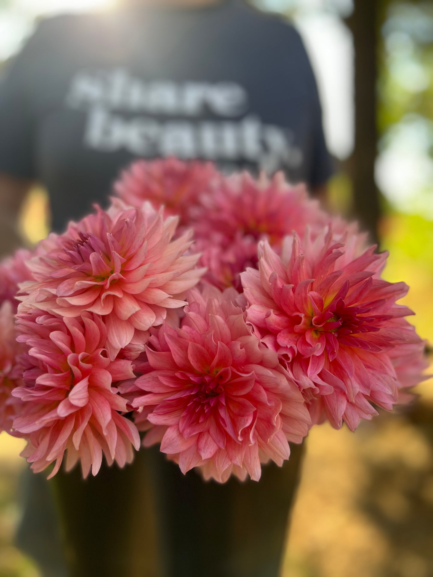 buy KA's Jubilee Dahlia Tubers from Triple Wren Farms for your home garden