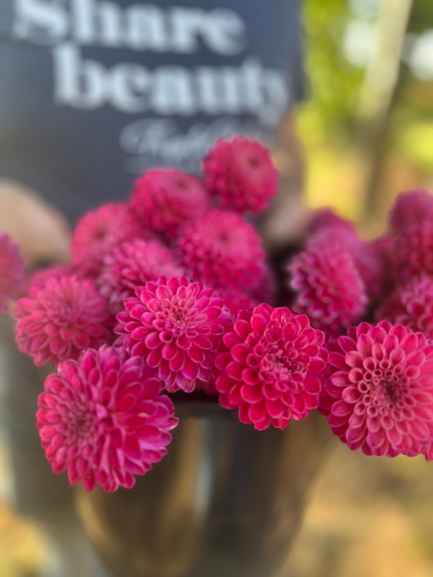 buy Bloomquist Showtime Dahlia Tubers from Triple Wren Farms for your home garden