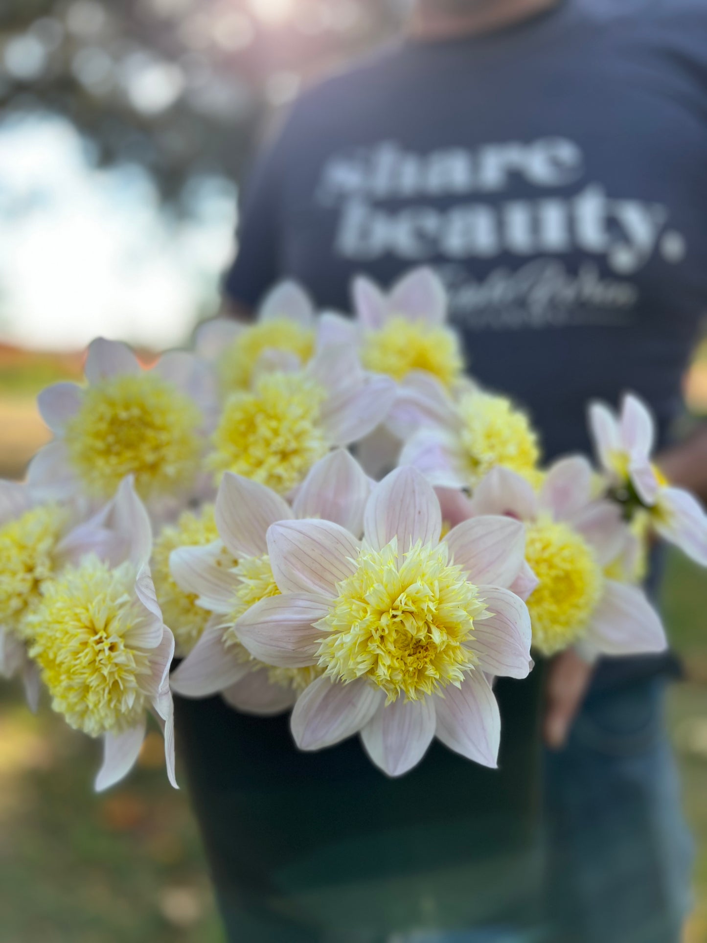 buy Bloomquist Morris dahlia tubers from Triple Wren Farms for your home garden