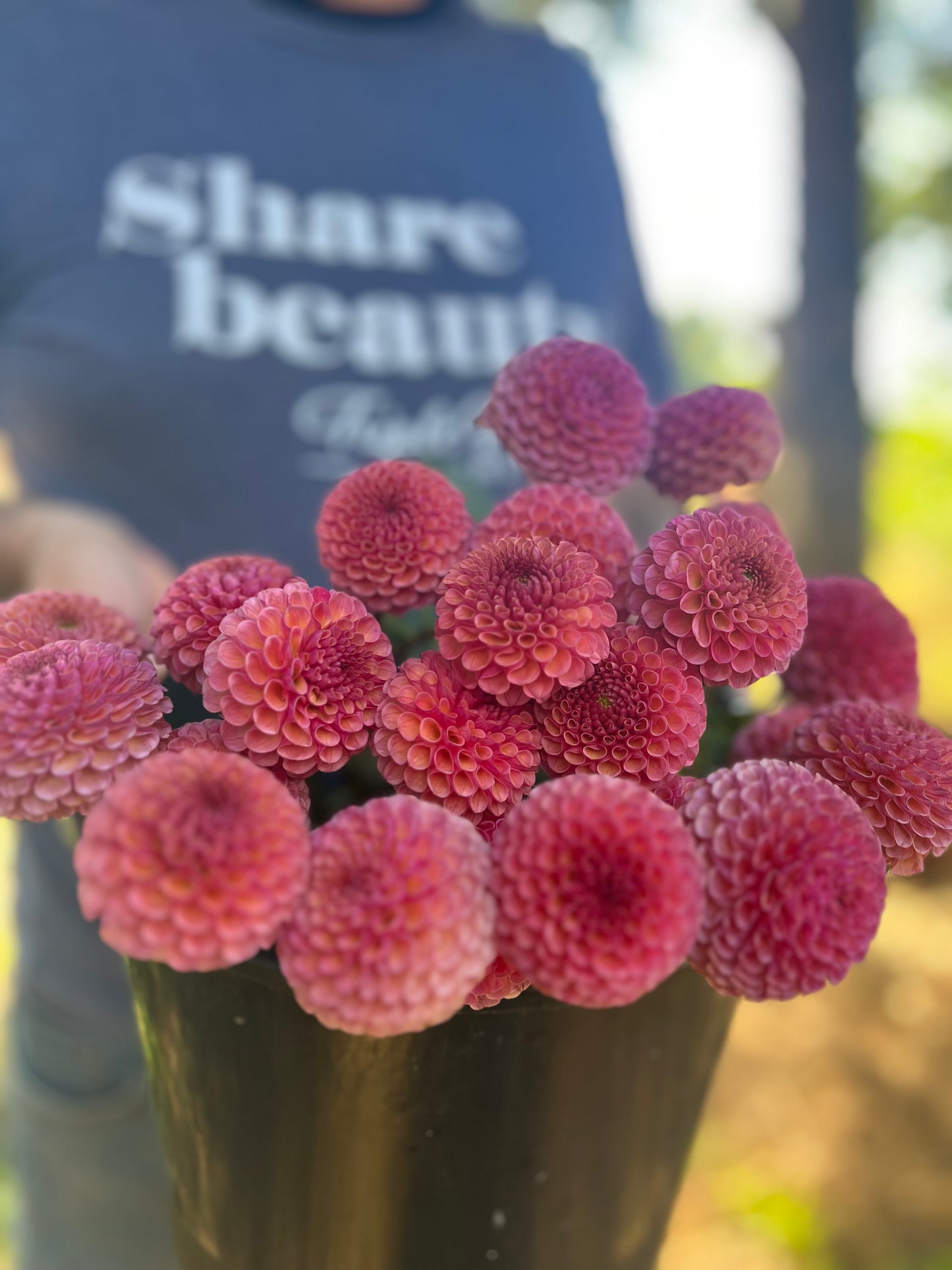 KA's Koko Puff Dahlia Tubers from Triple Wren Farms