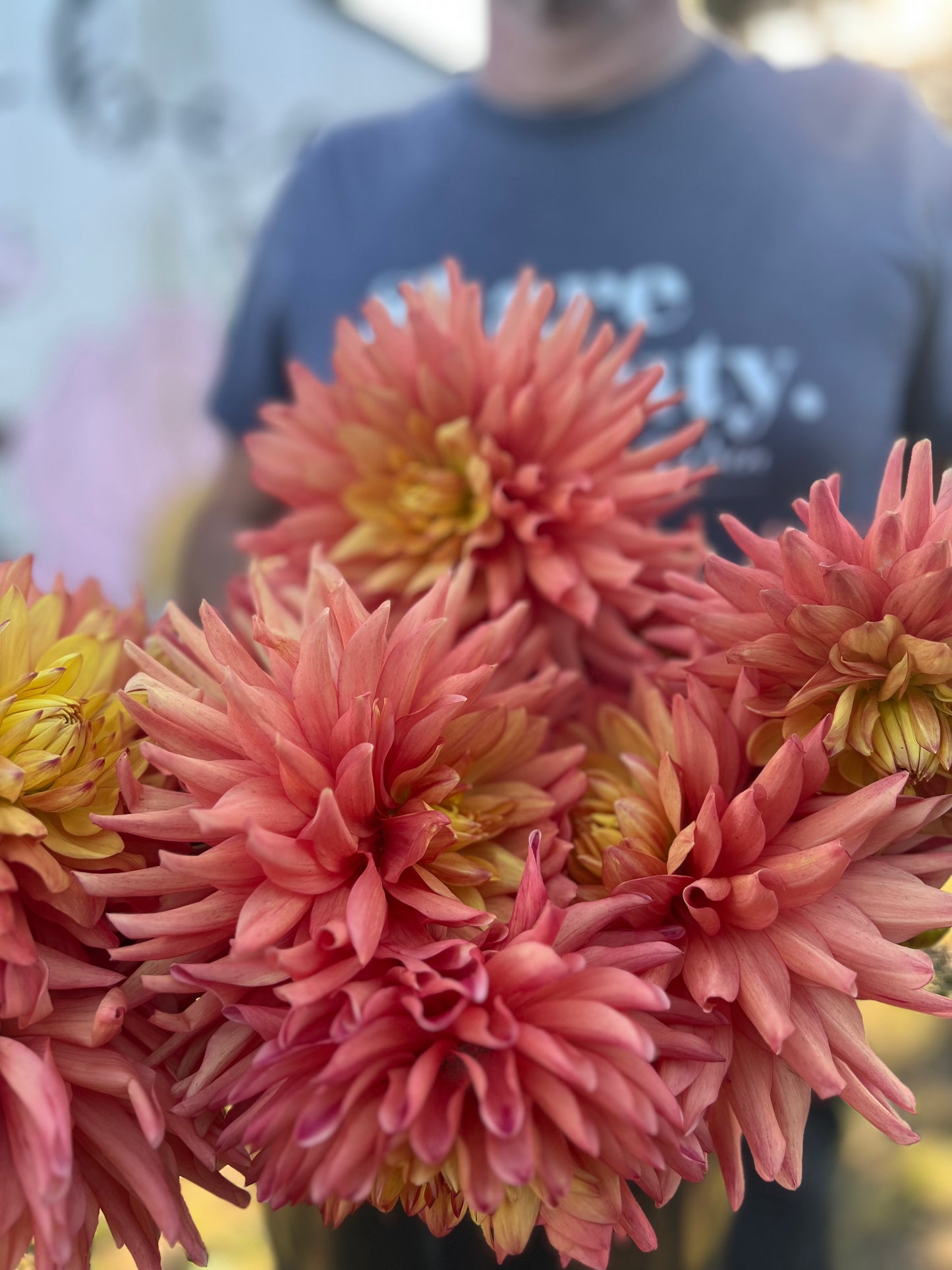 Bloomquist Robyn Dahlia Tubers from Triple Wren Farms