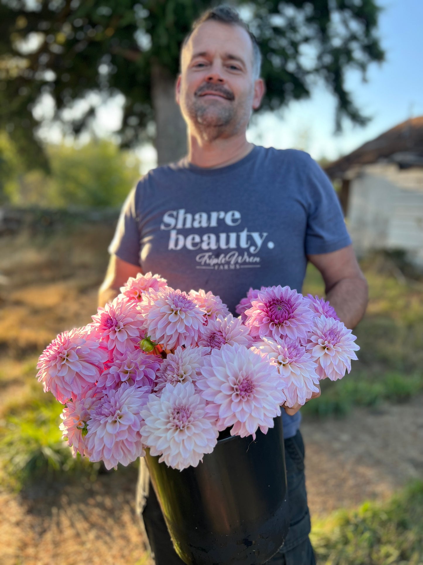 buy Bloomquist Compare dahlia tubers from Triple Wren Farms for your home garden