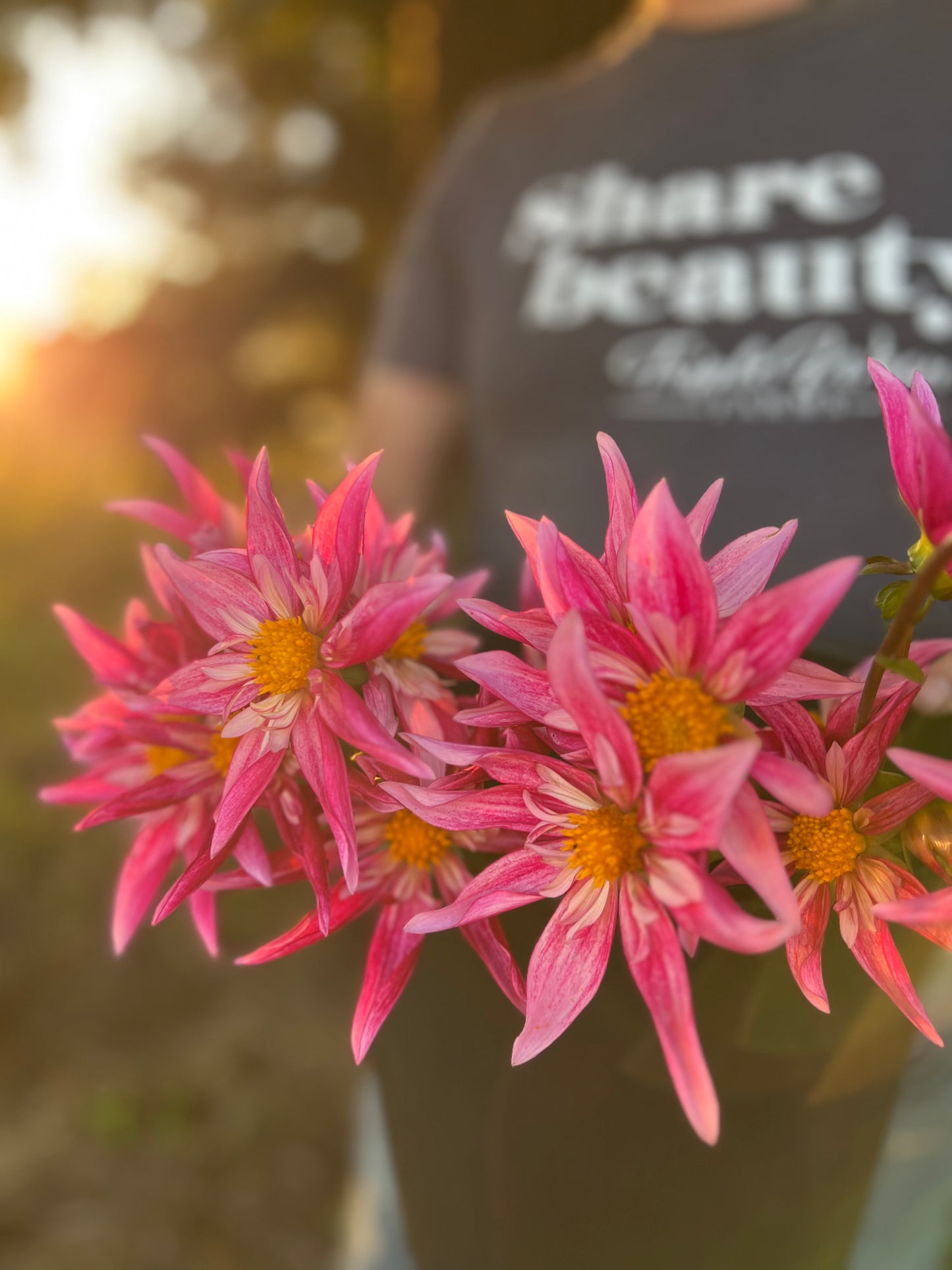 Buy Bloomquist Exotic dahlia tubers from Triple Wren Farms for your home garden