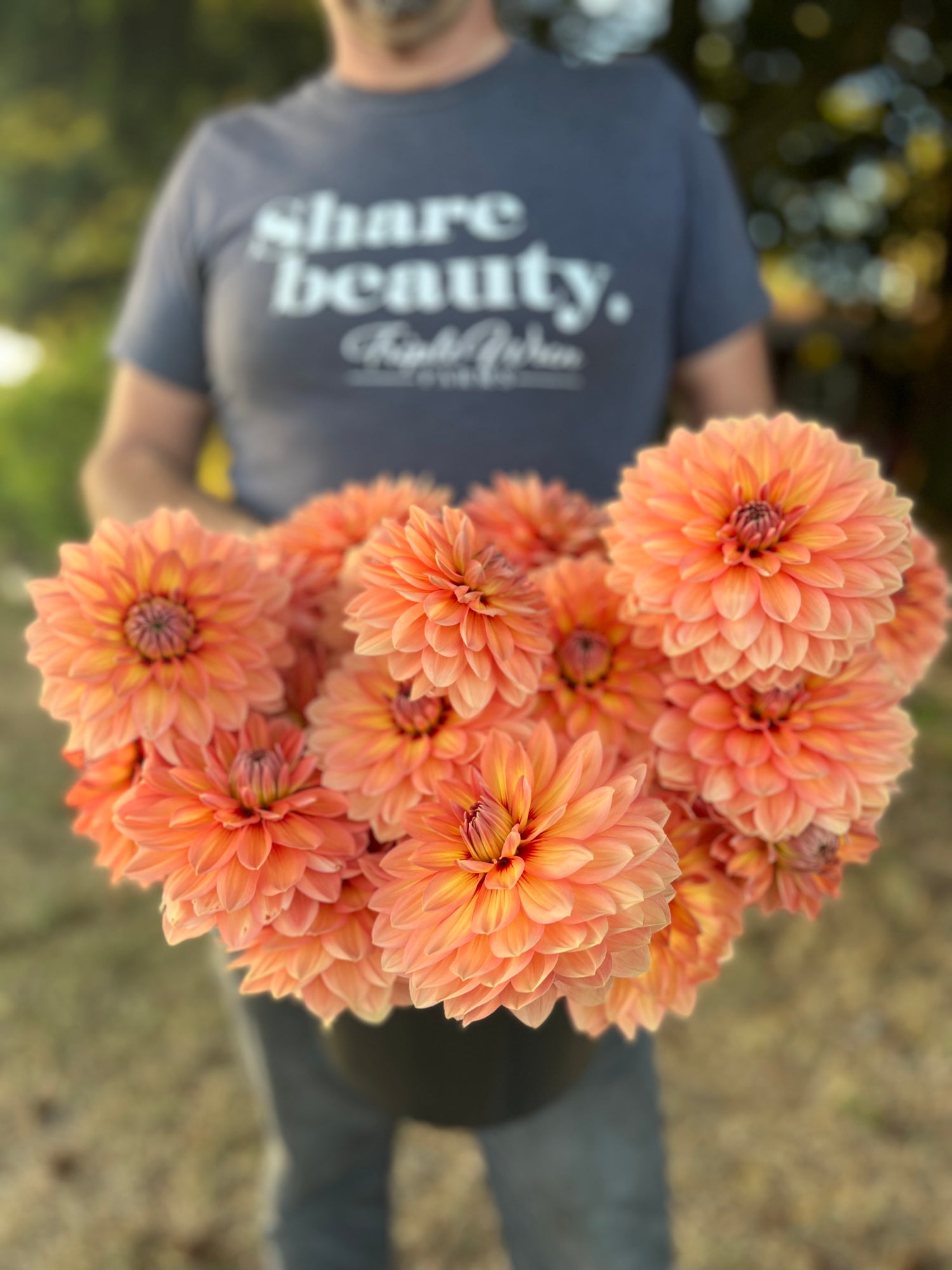 Nicholas Dahlia Tubers from Triple Wren Farms