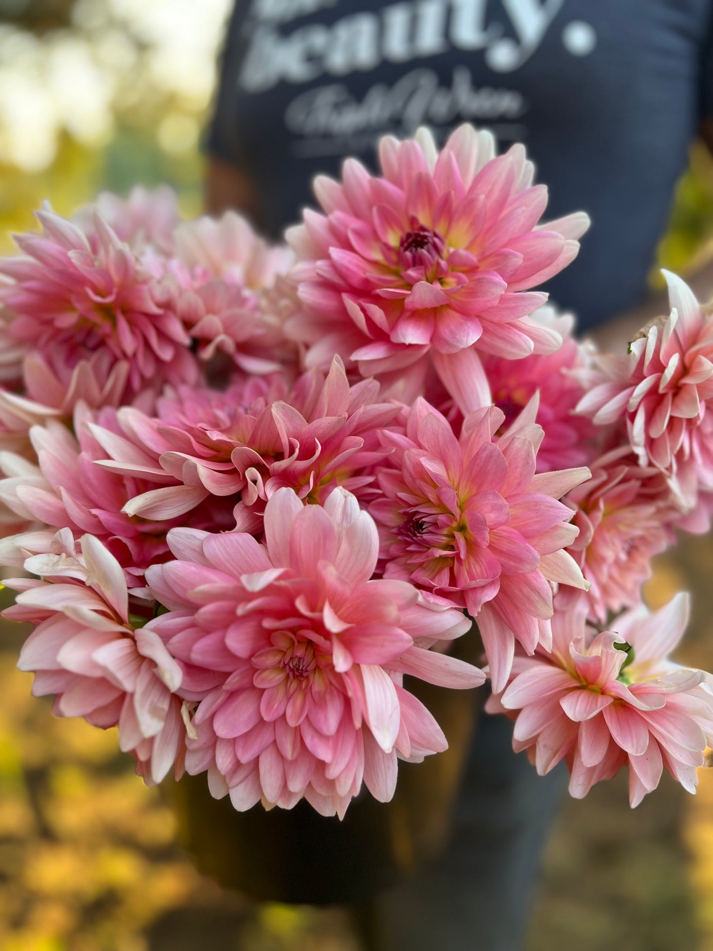 buy Gerrie Hoek Dahlia Tuber from Triple Wren Farms for your home garden