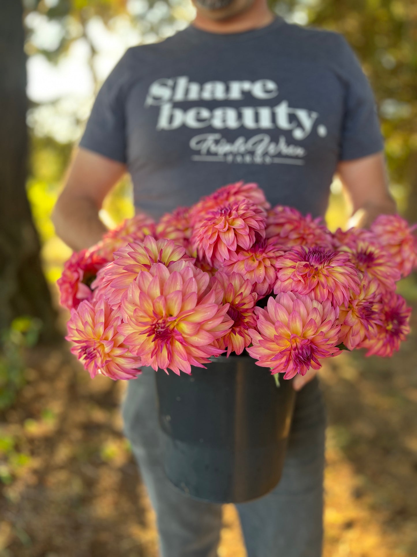 Bloomquist Fredene dahlia tubers from Triple Wren Farms