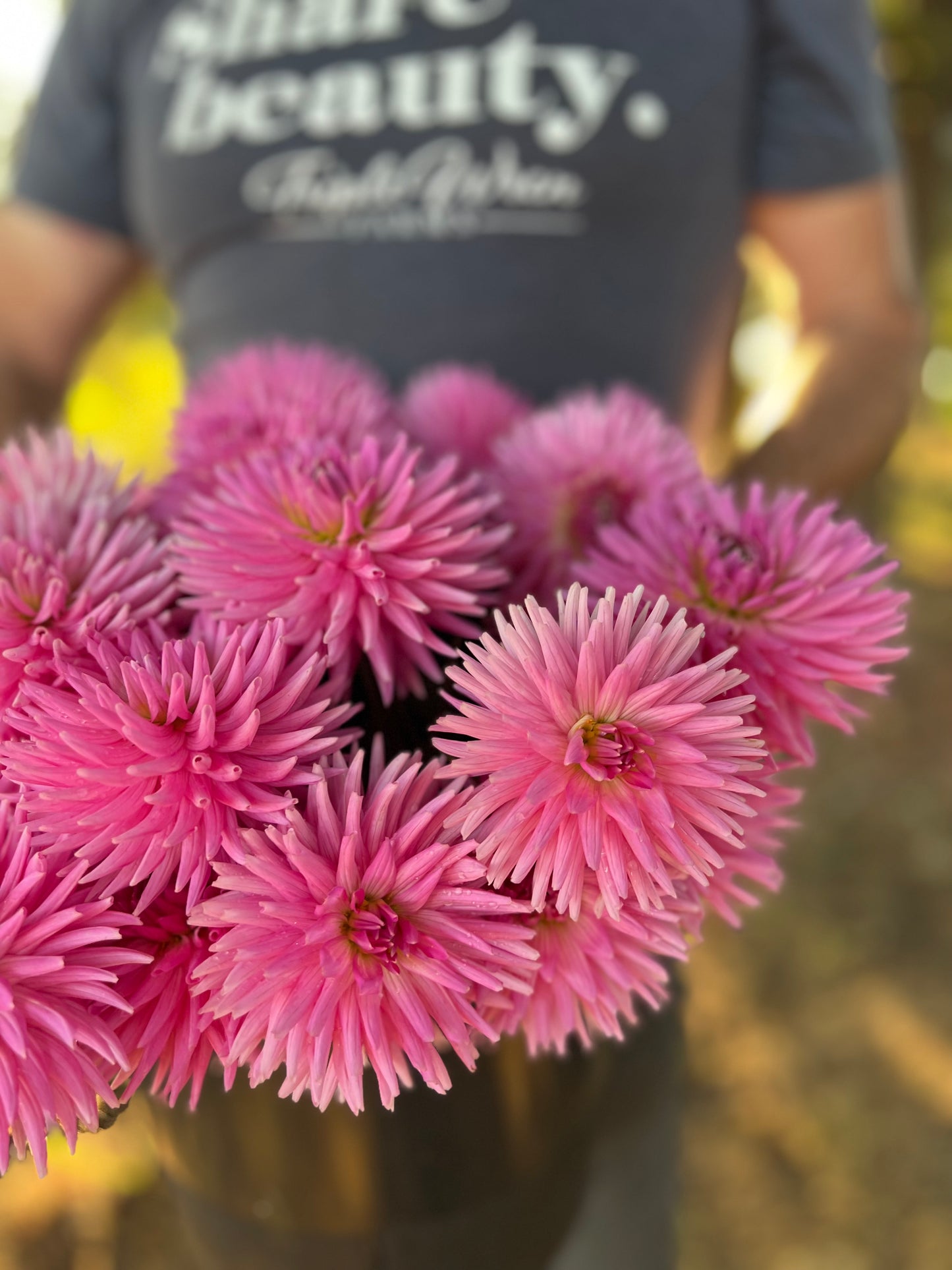 buy KA's Bo Peep Dahlia Tuber from Triple Wren Farms for your home garden
