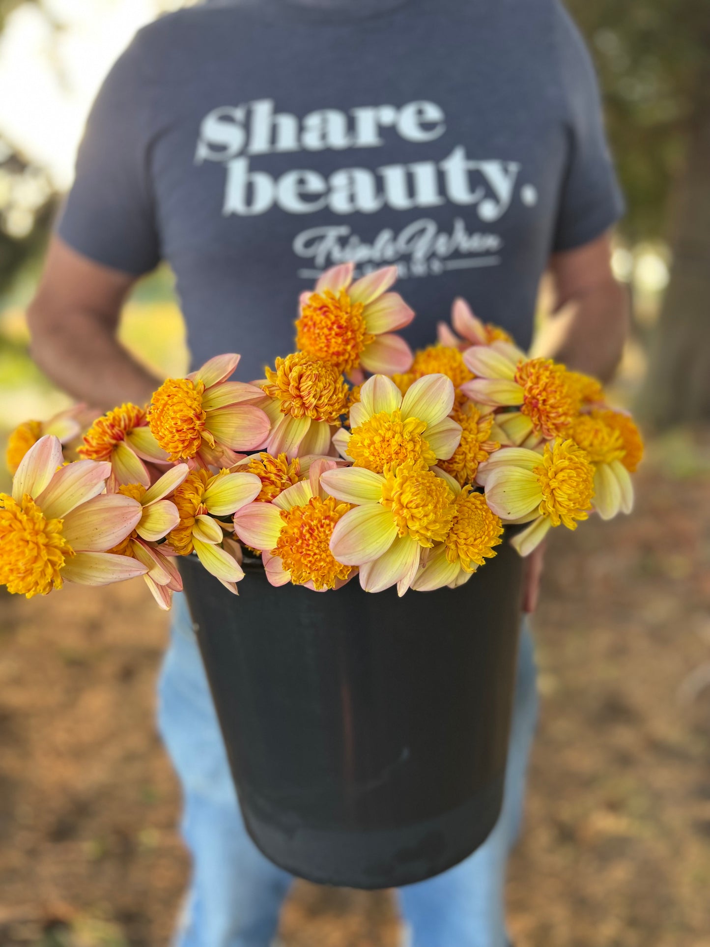 Bloomquist Golden Dahlia tuber from Triple Wren Farms