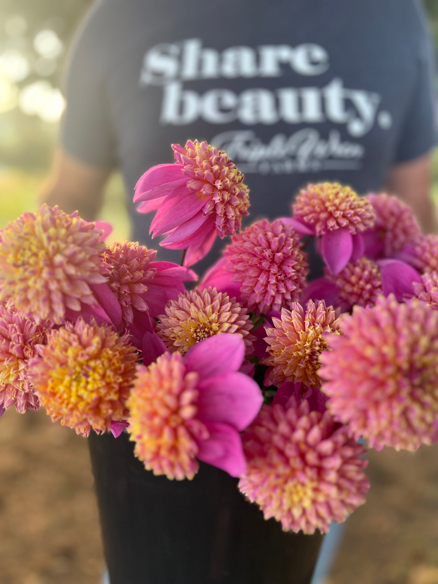 buy Bloomquist Ginnie Dahlia tubers from Triple Wren Farms for your home Garden