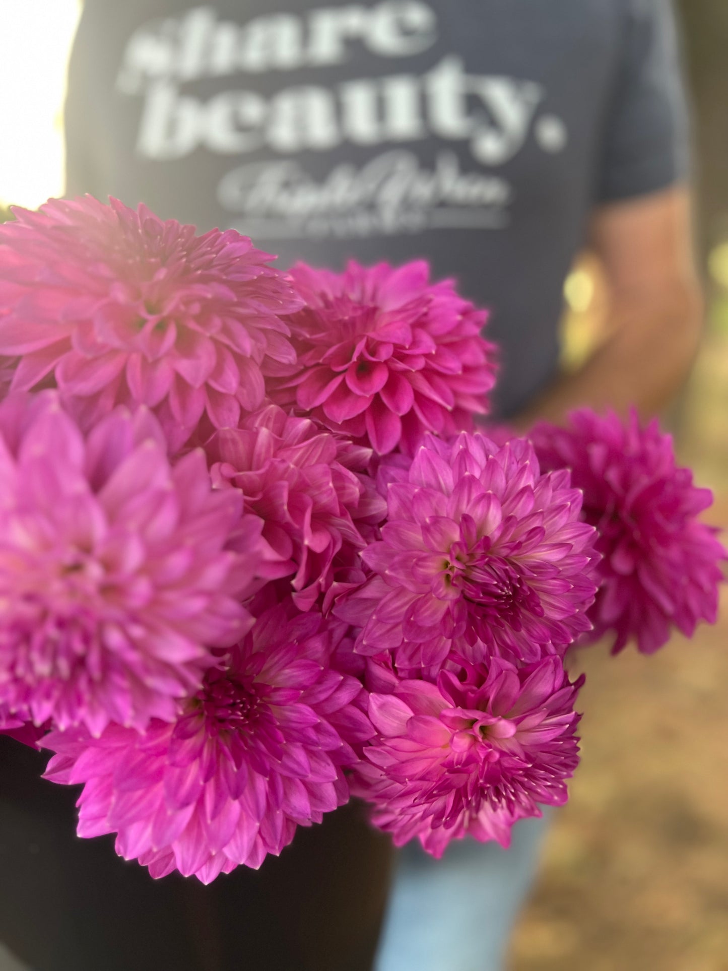 buy Bloomquist Clear Delight dahlia tubers from Triple Wren Farms for your home garden