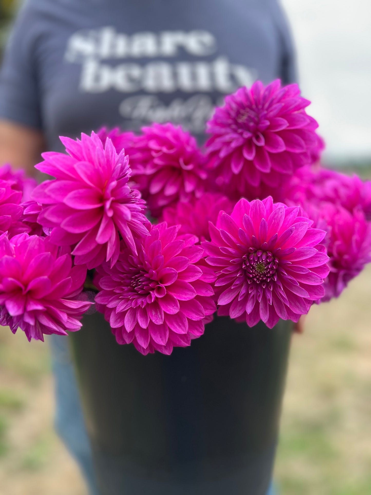 Bloomquist Ruby Dahlia Tubers from Triple Wren Farms