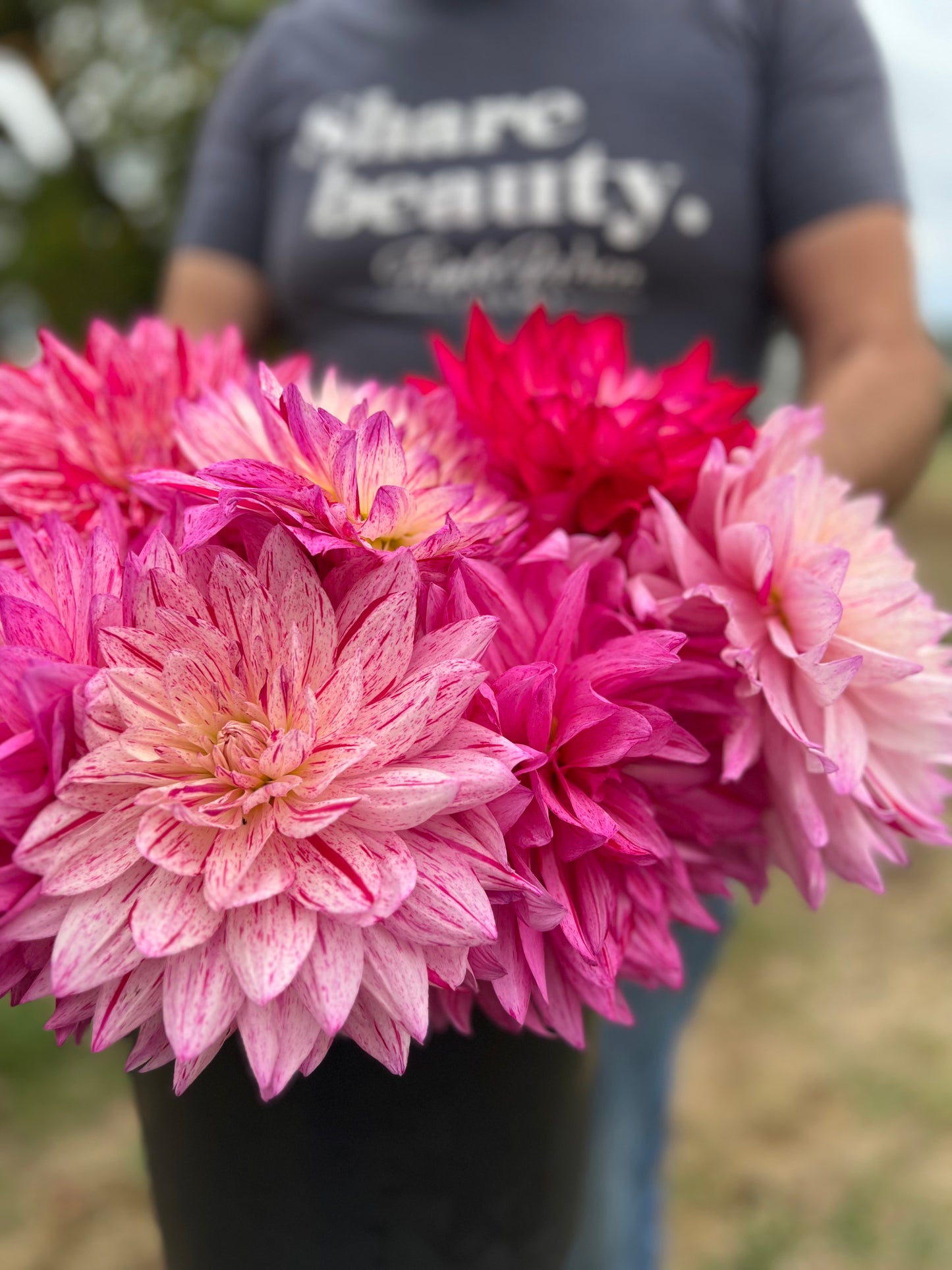 buy Bloomquist Minty dahlia tubers from Triple Wren Farms for your home garden