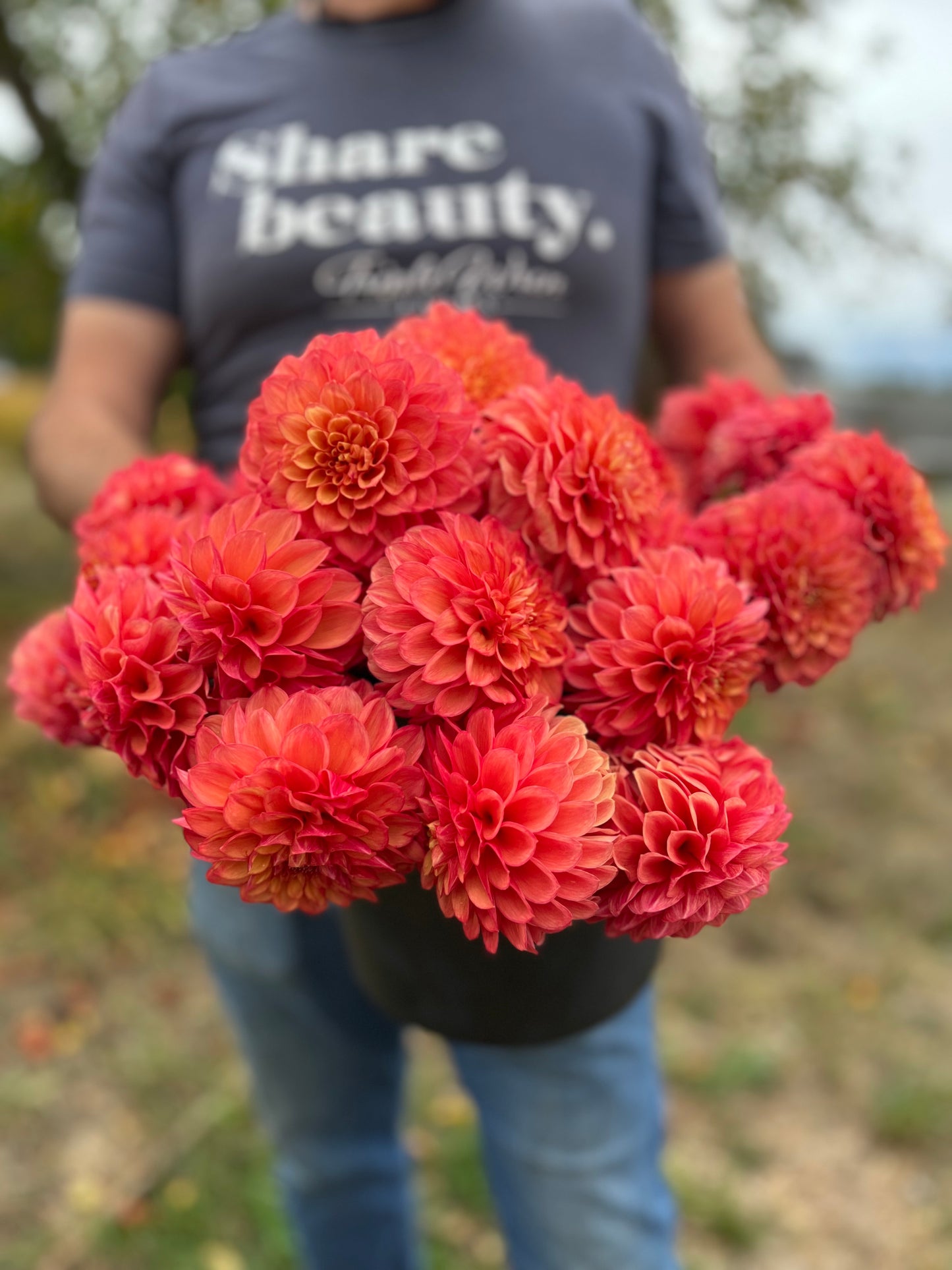 Buy Lakeview Lucky Dahlia Tubers from Triple Wren Farms for your home garden