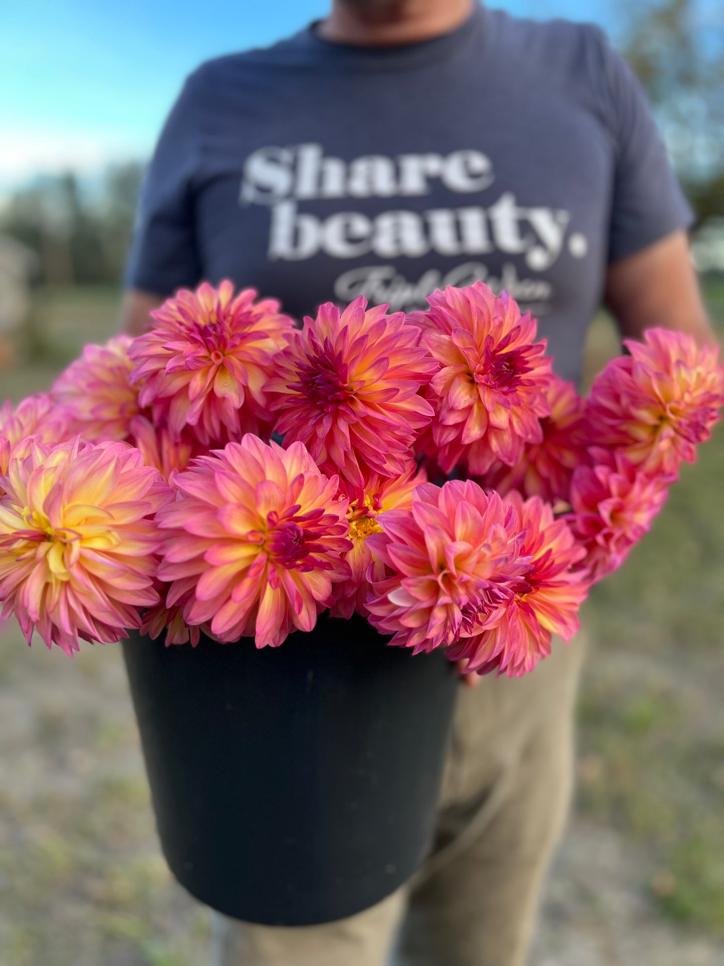 buy Bloomquist Fredene dahlia tubers from Triple Wren Farms for your home garden