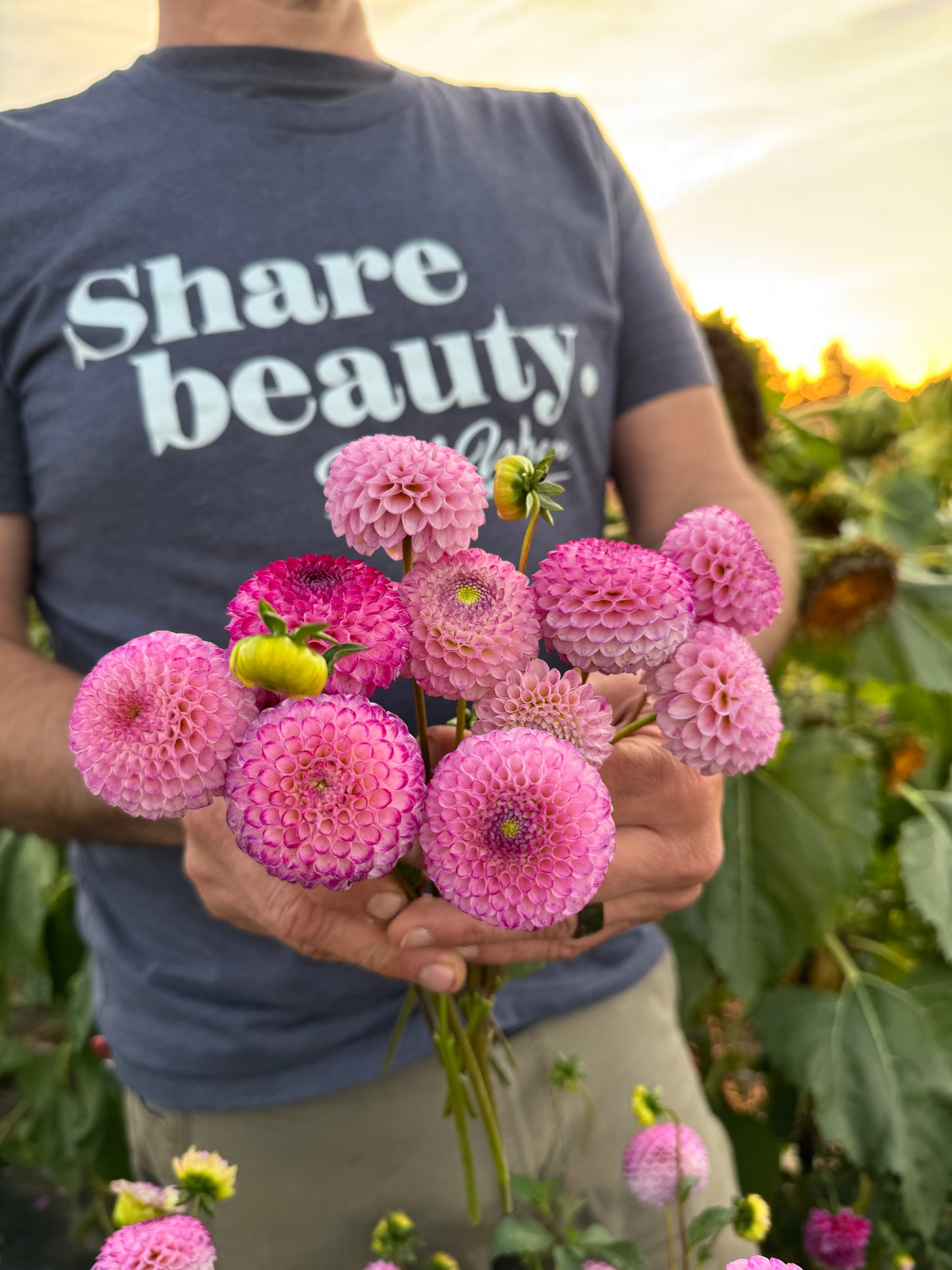 Irish Miss Dahlia Tubers from Triple Wren Farms