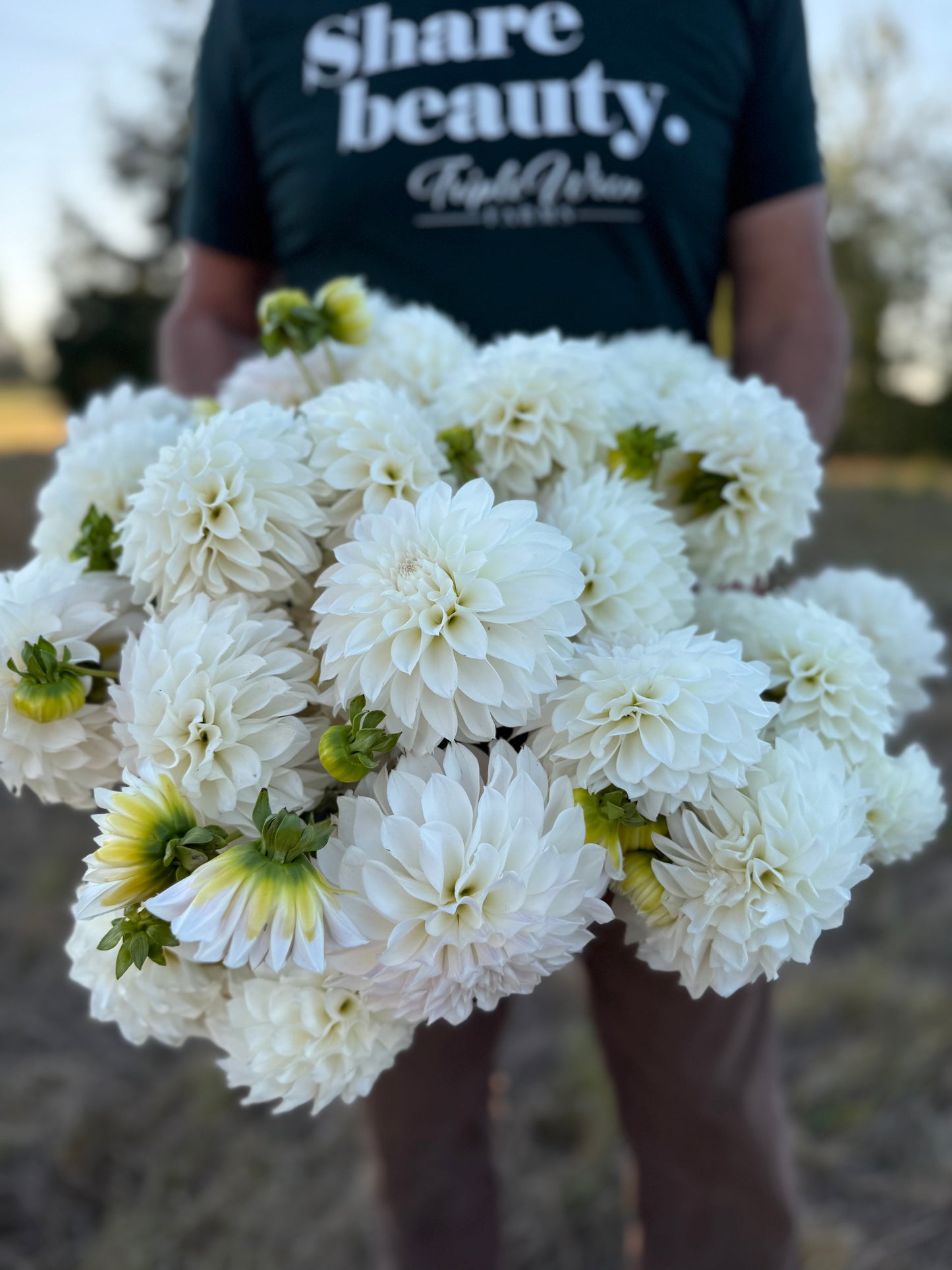 A person outdoors holding a large bouquet of white dahlia flowers, wearing a dark green T-shirt with white text that reads 'Share beauty. Right Here.