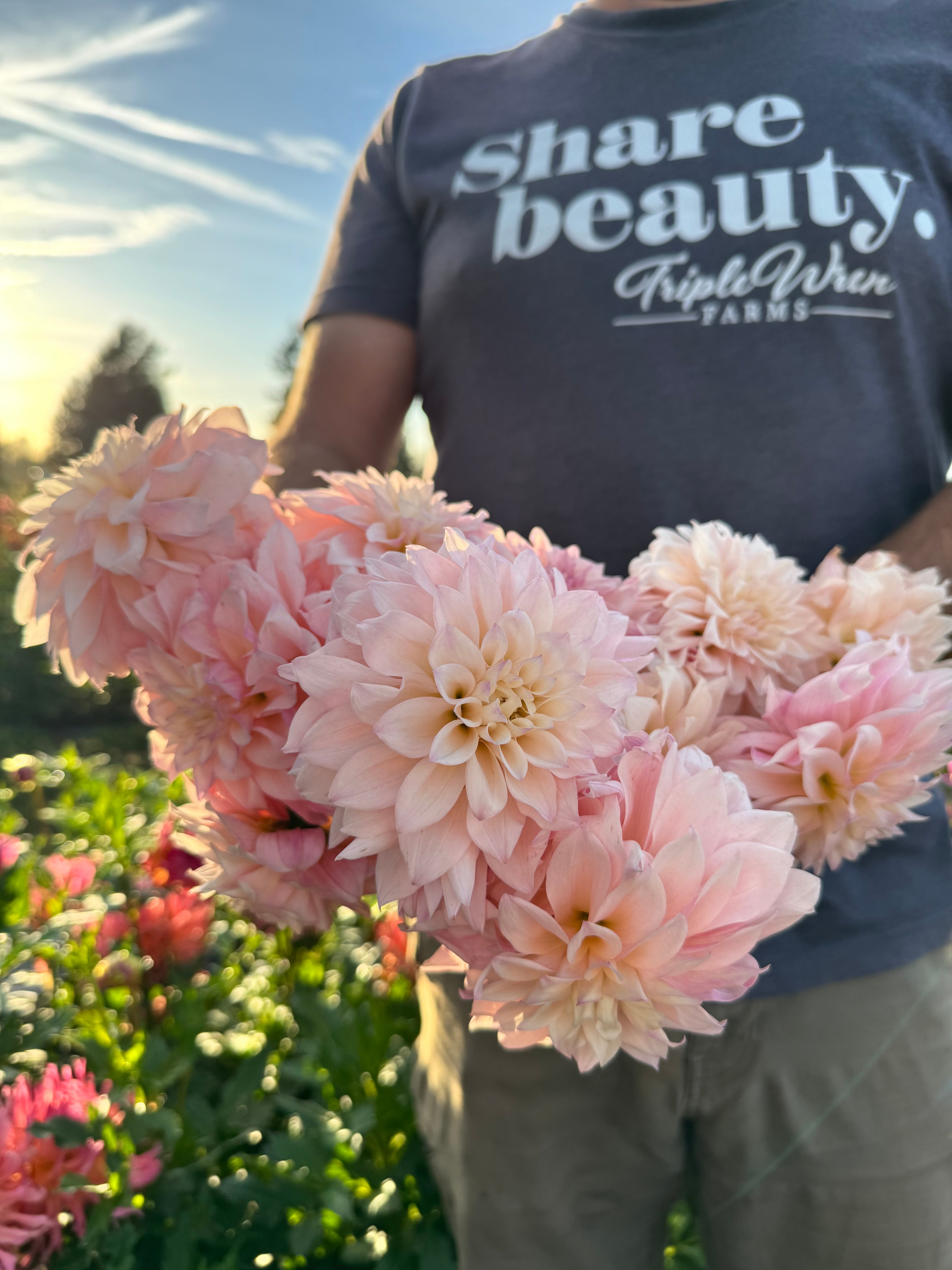 KA's® Mocha Jake Dahlia Tuber – Triple Wren Farms