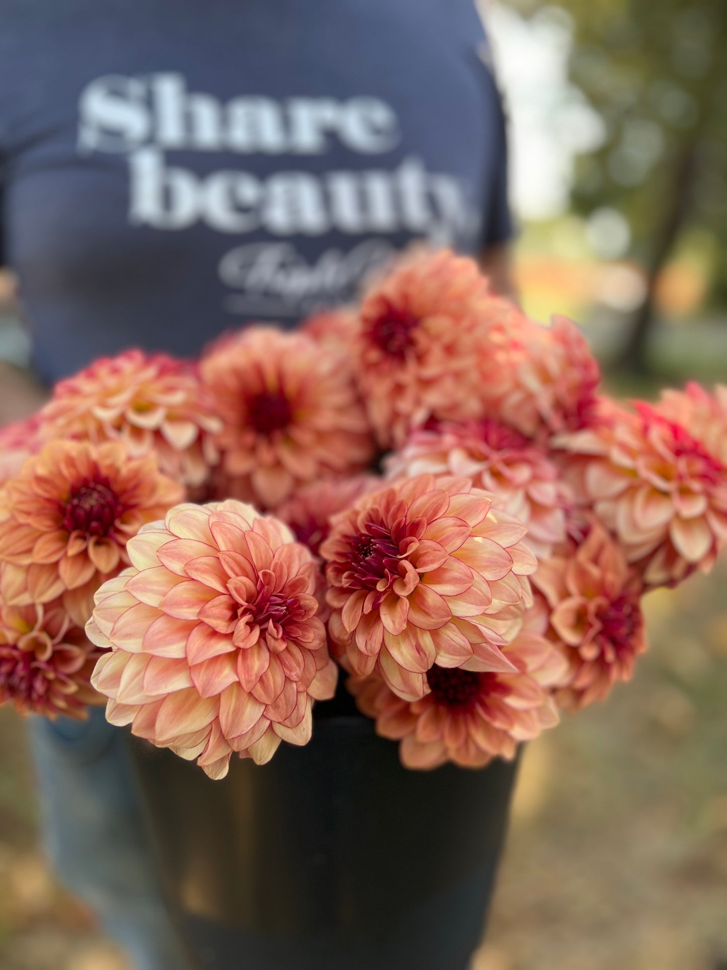 buy KA's Mocha Katie Dahlia Tubers from Triple Wren Farms for your home garden