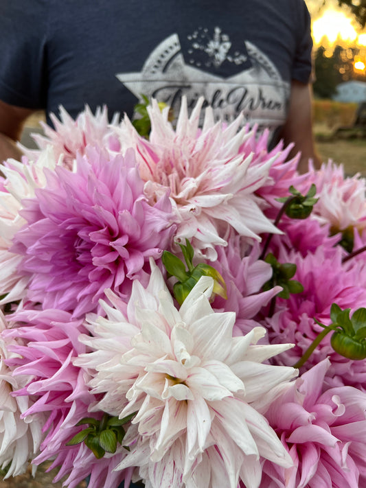 Mom's Special Dahlia Tubers