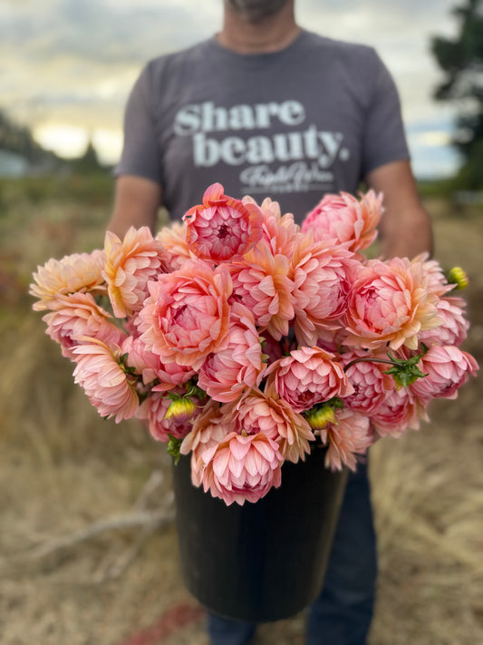 Person holding a large bouquet of pink flowers with 'Share beauty' t-shirt in the background