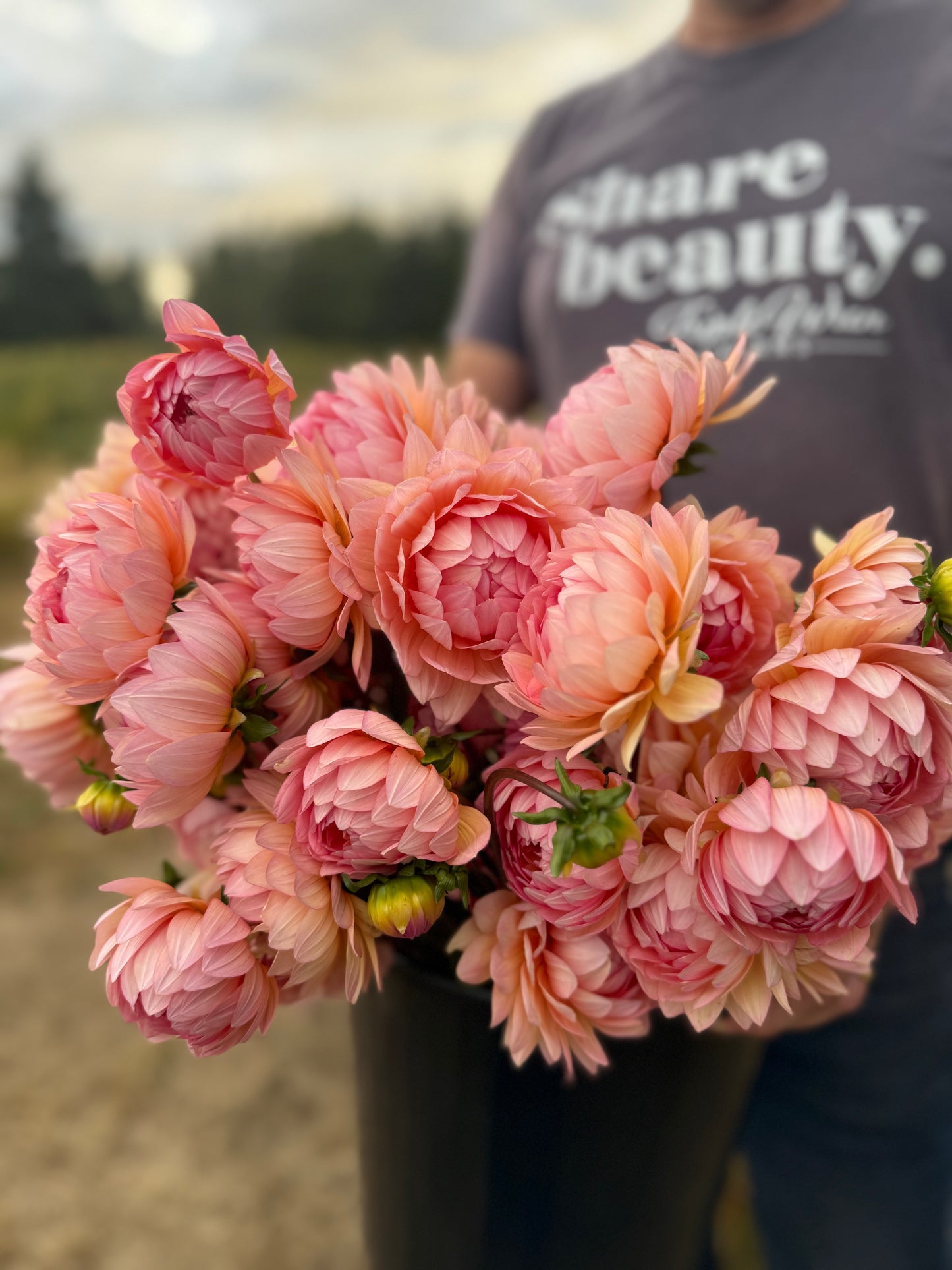 Person holding a bouquet of pink flowers with 'share beauty' t-shirt in the background