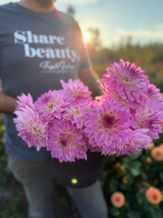 NY Arlene Dahlia Tuber