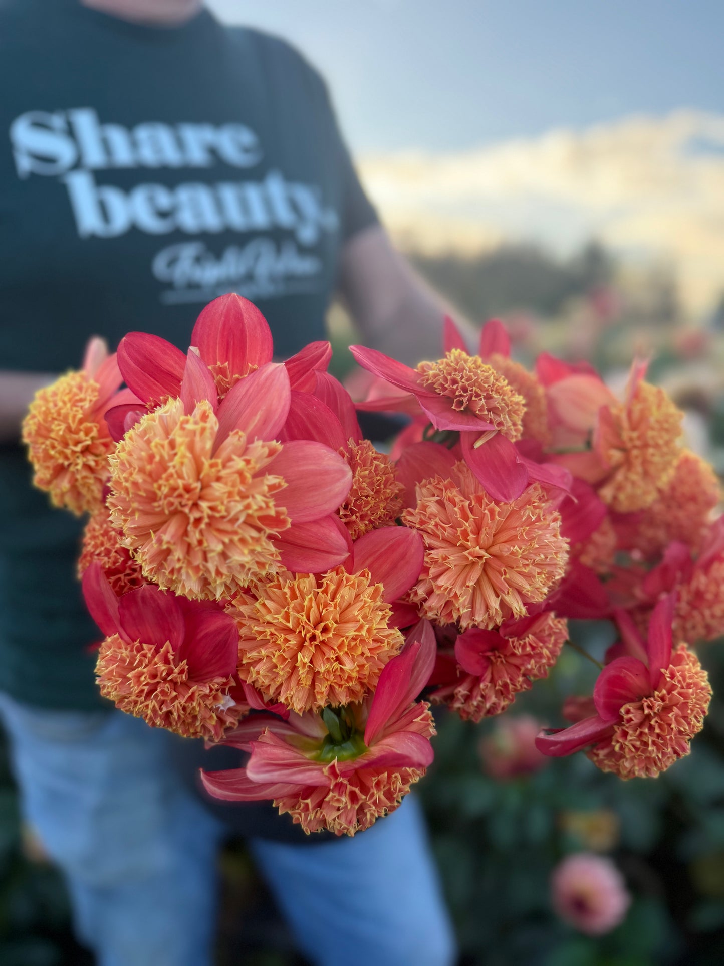 Sandia Bill J Dahlia Tuber