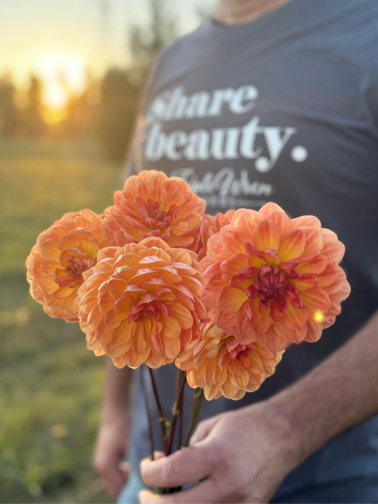 Sandia Marmalade Dahlia Tuber