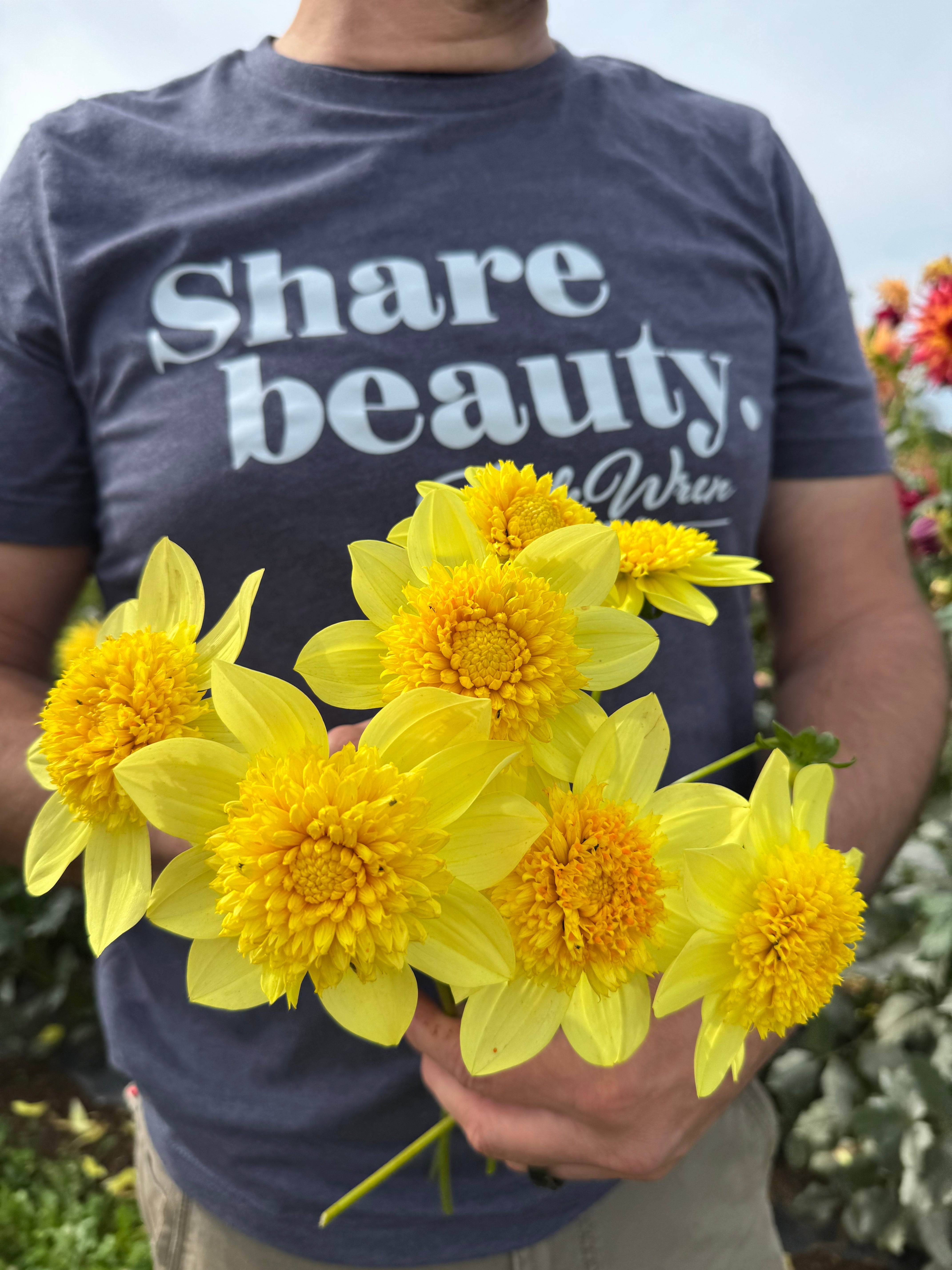Sandia Sunbonnet Dahlia Tuber – Triple Wren Farms
