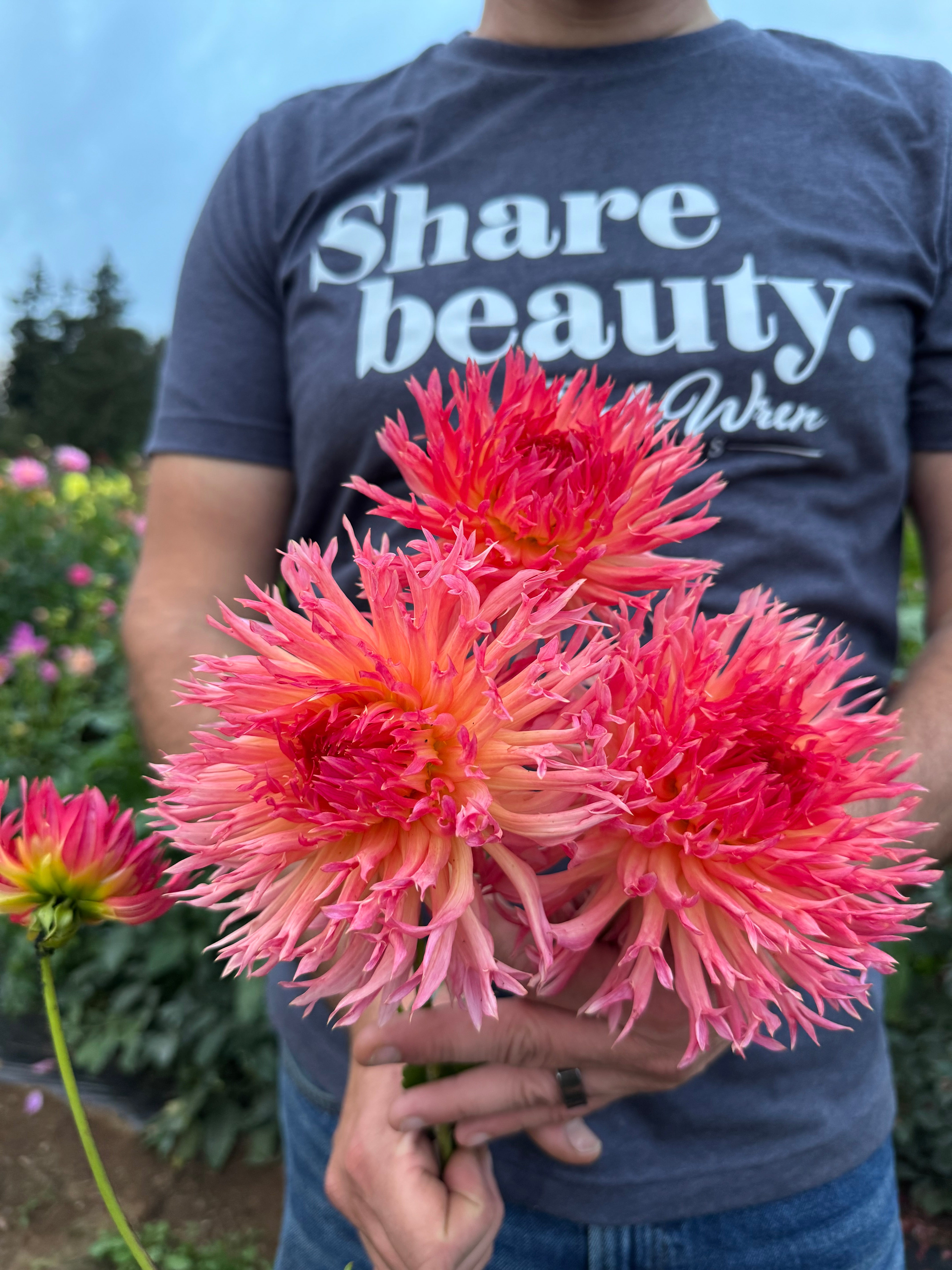 テディとスイカ&紫陽花のフォーチューンリース Vista_Hadley_Dahlia.jpg?v=