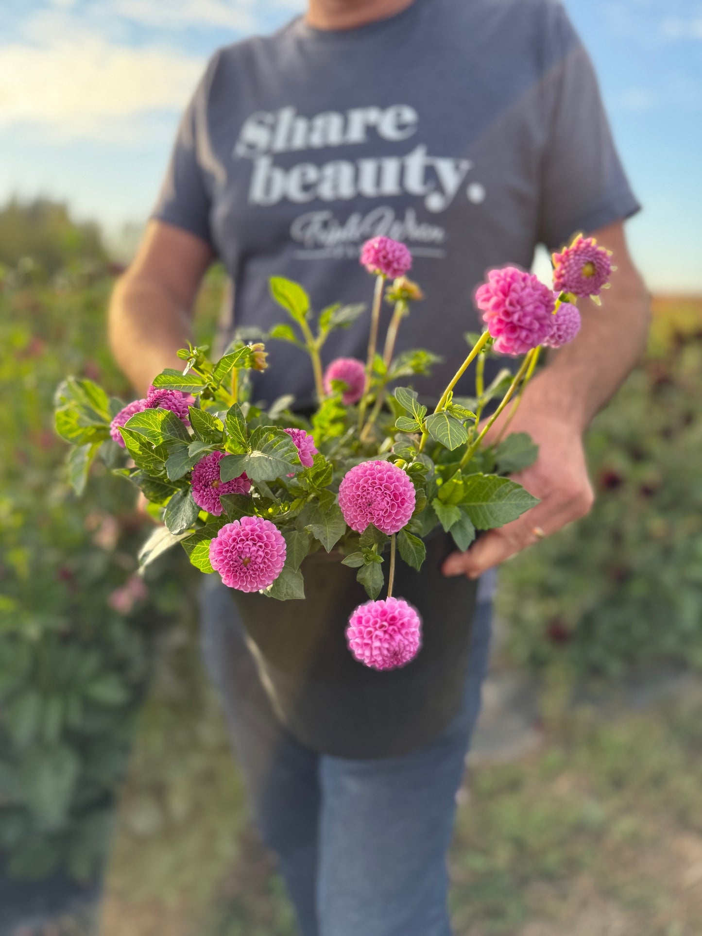 Willo Borealis Dahlia Tuber